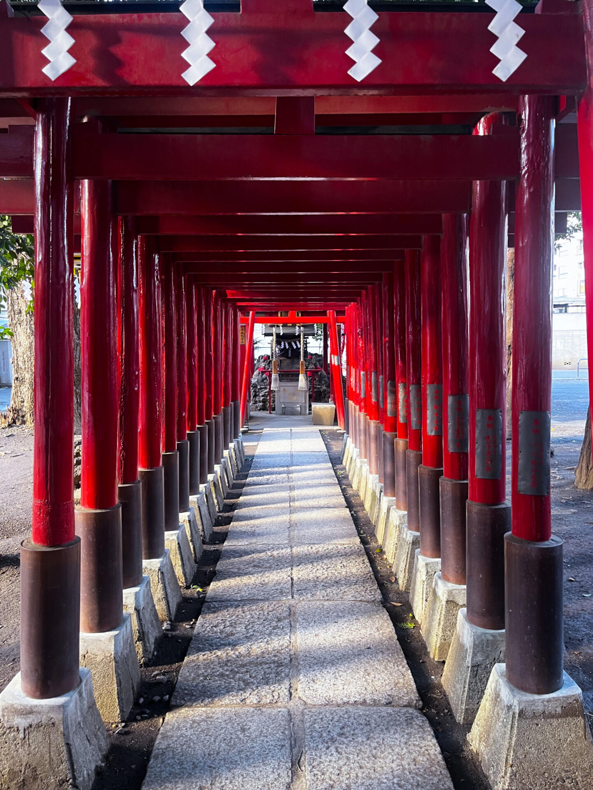 Walking Tour in Shinjuku and Kagurazaka: Hot Spots and Hidden Gems - Thumbnail 4