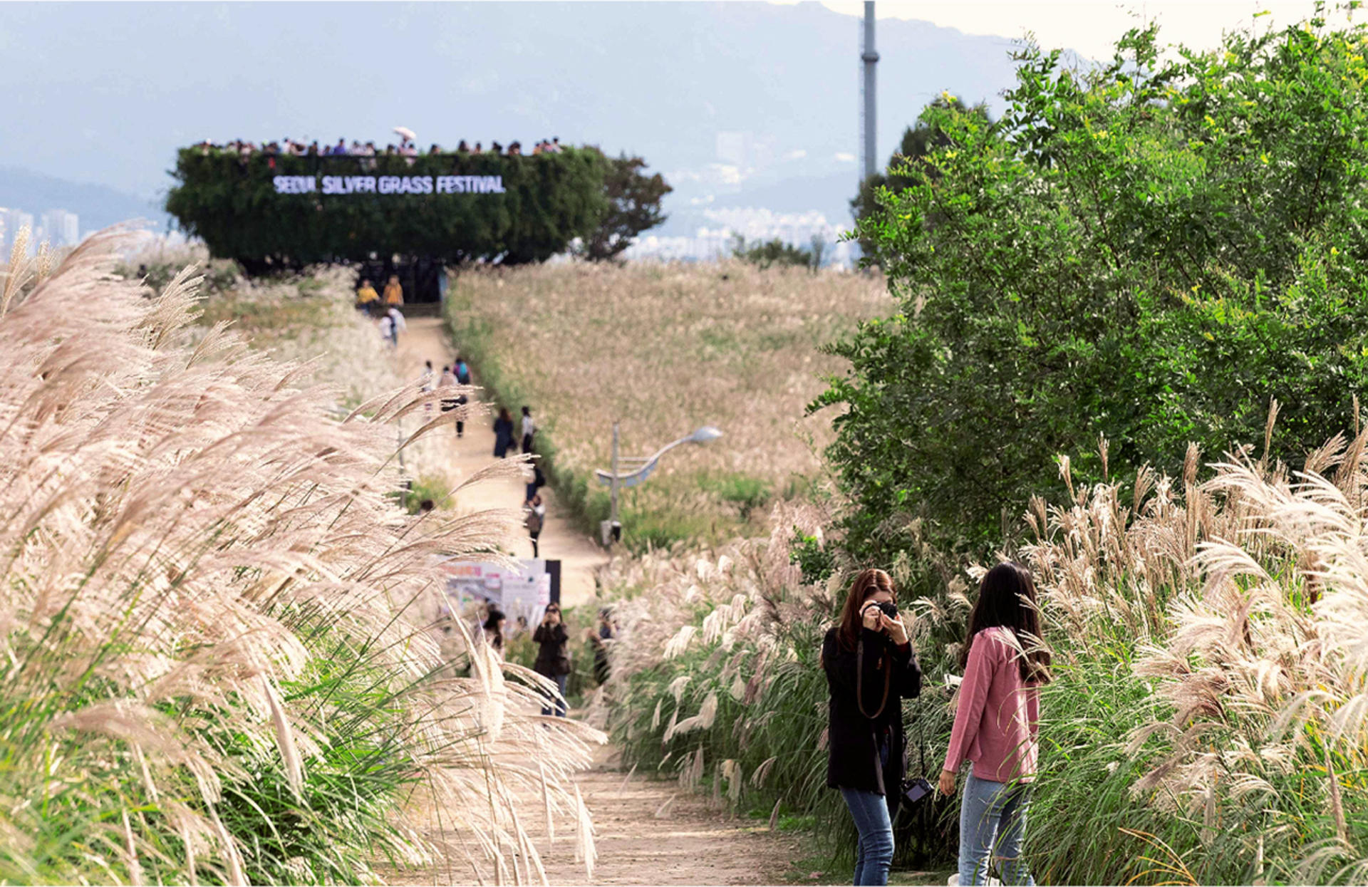 Seoul One Day Tour: Hanok Village, Nature Trails & Seoul City Views - Thumbnail 26