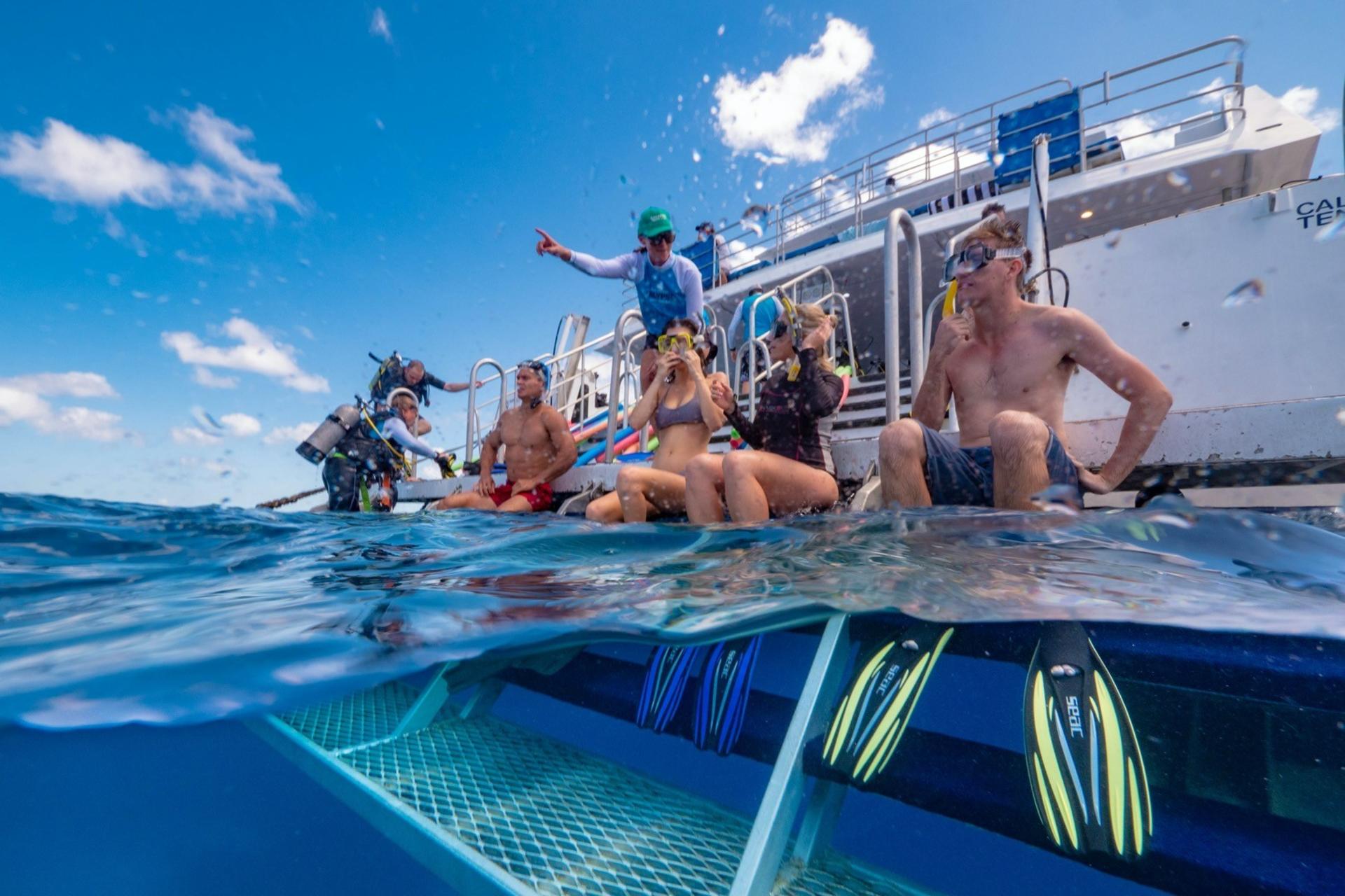 Great Barrier Reef Half Day and Full Day Tours - Thumbnail 2