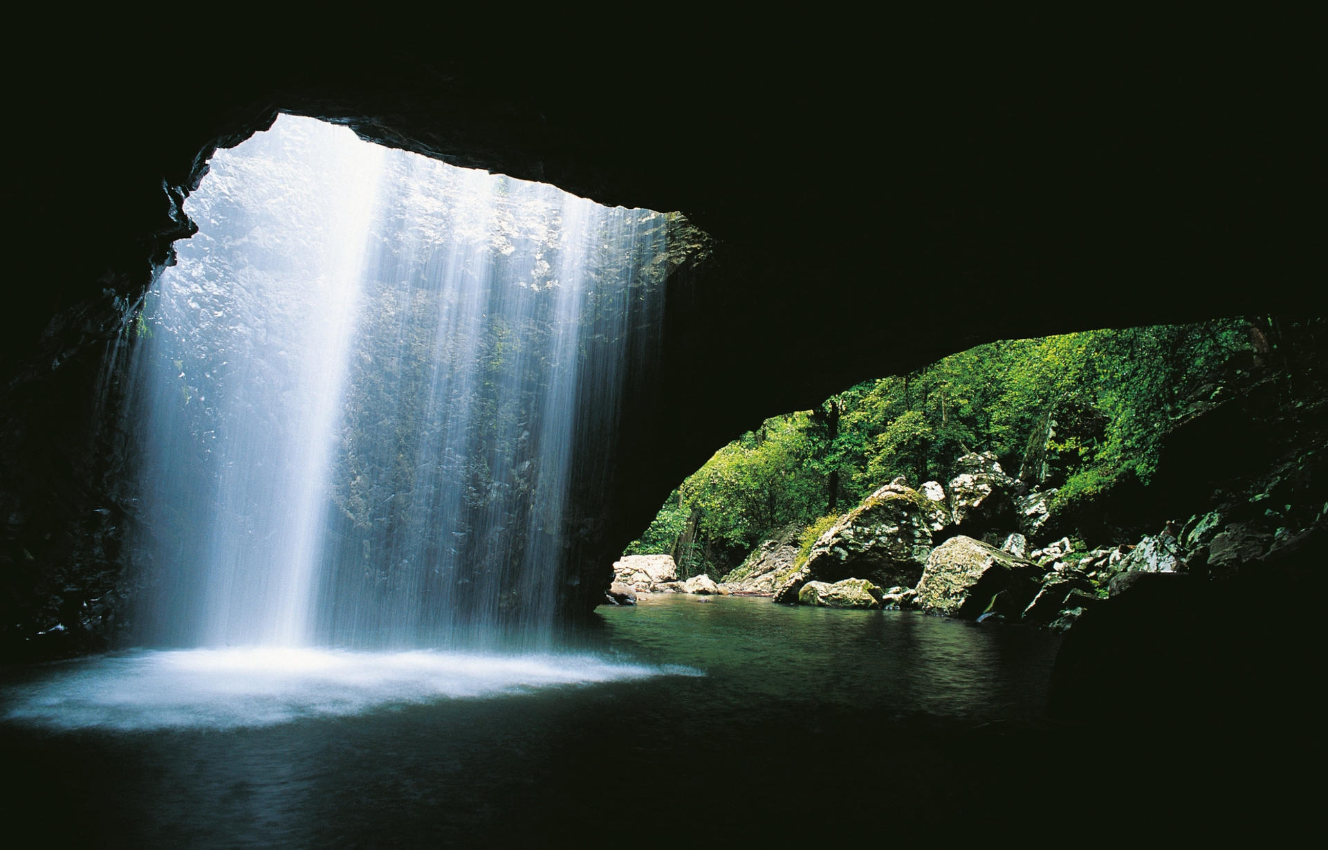 Natural Bridge and Springbrook Waterfalls Tour from Gold Coast - Thumbnail 2
