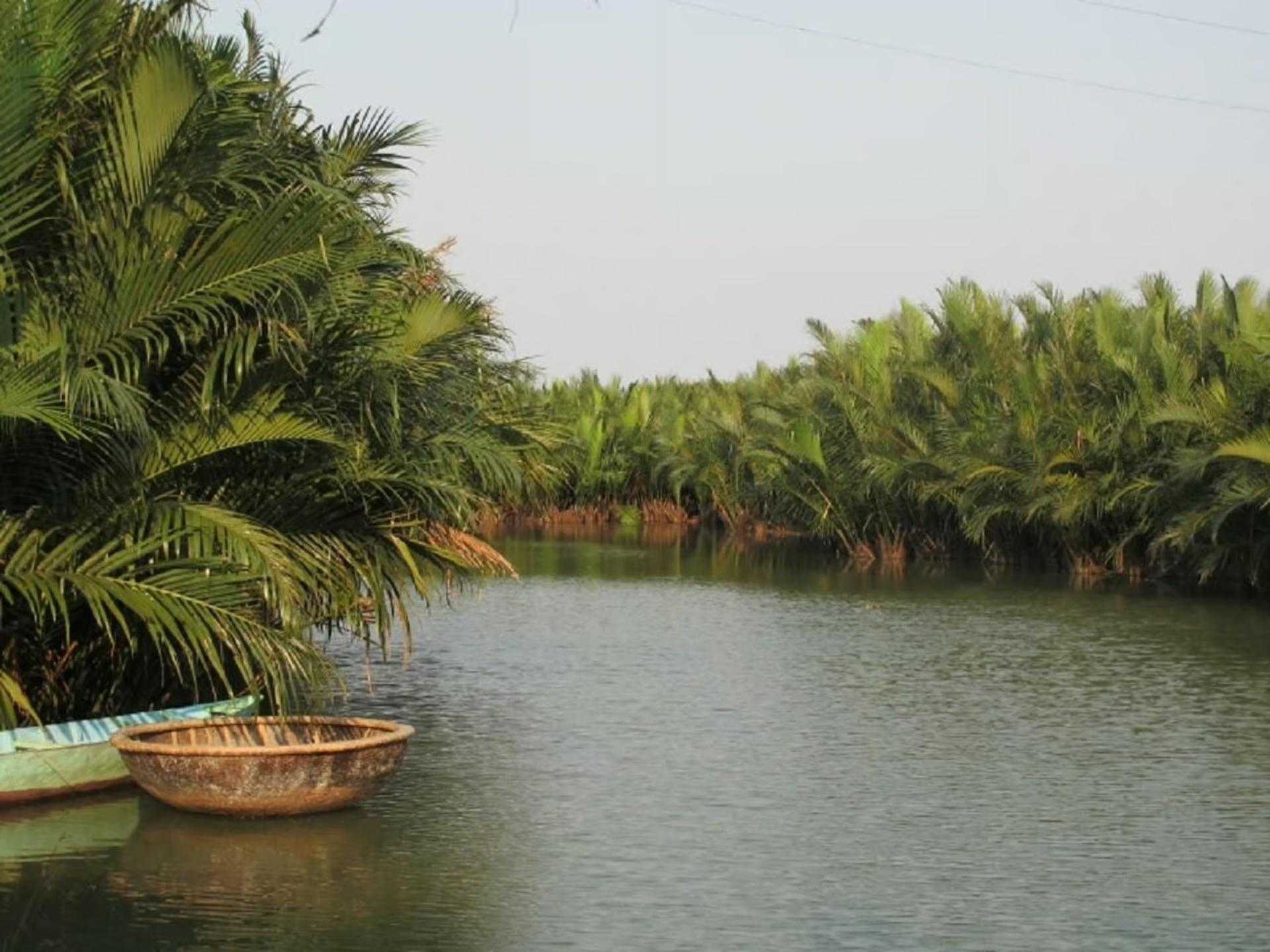 Bay Mau Coconut Forest Basket Boat Ride by Nipa Basket Coconut - Thumbnail 7