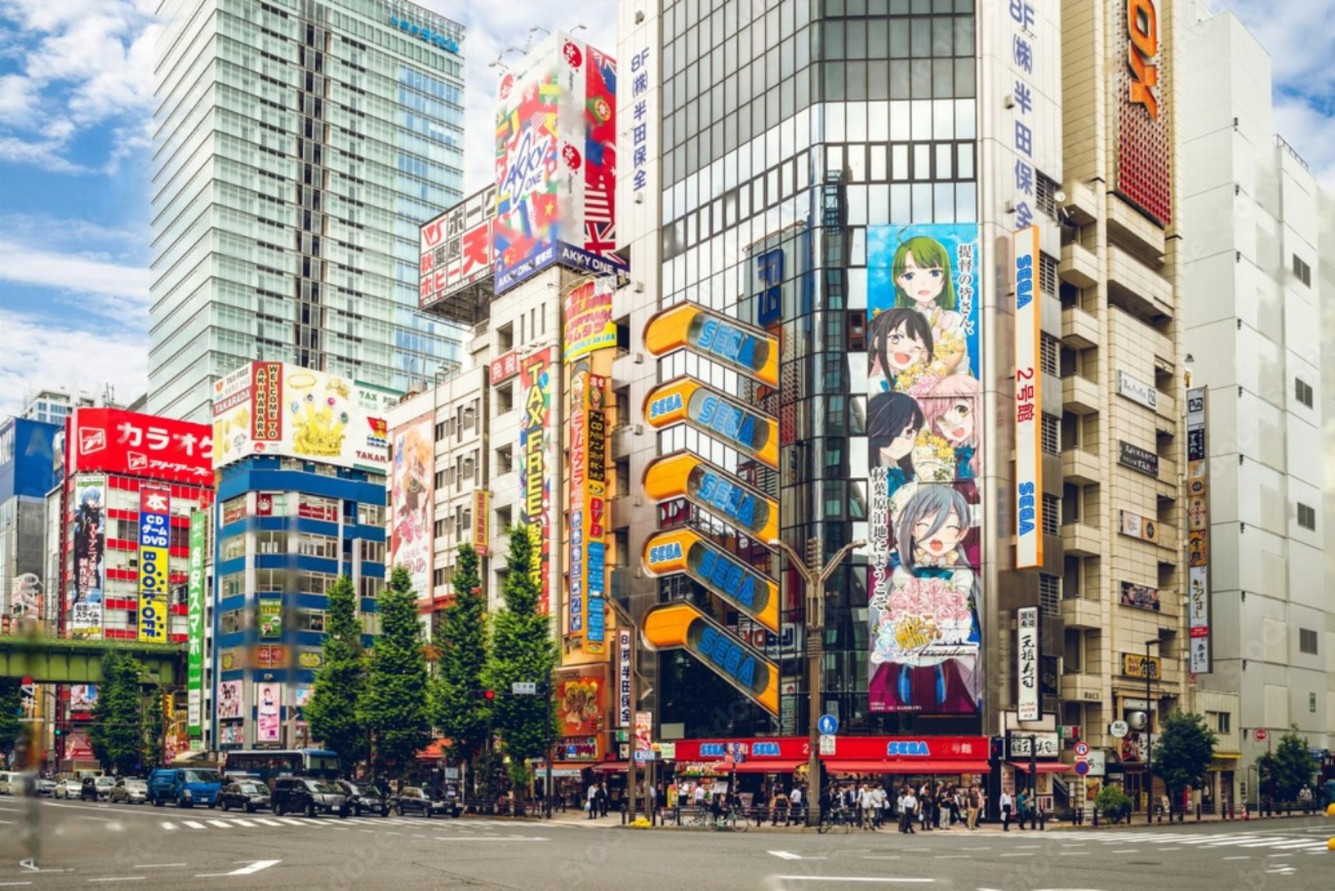 Tokyo Highlights Private Day Trip - Thumbnail 2