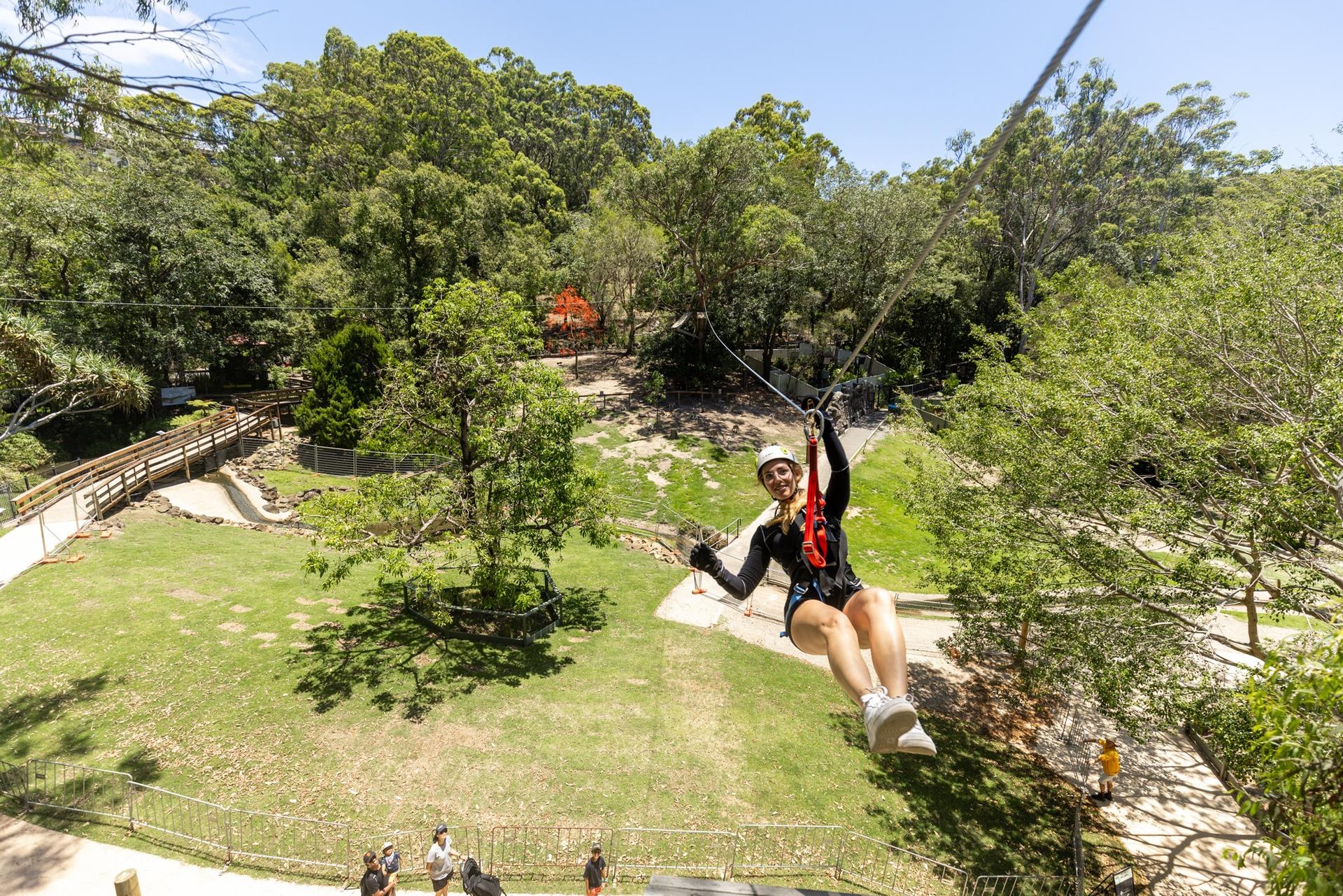 TreeTop Challenge at Currumbin Wildlife Sanctuary  - Thumbnail 3