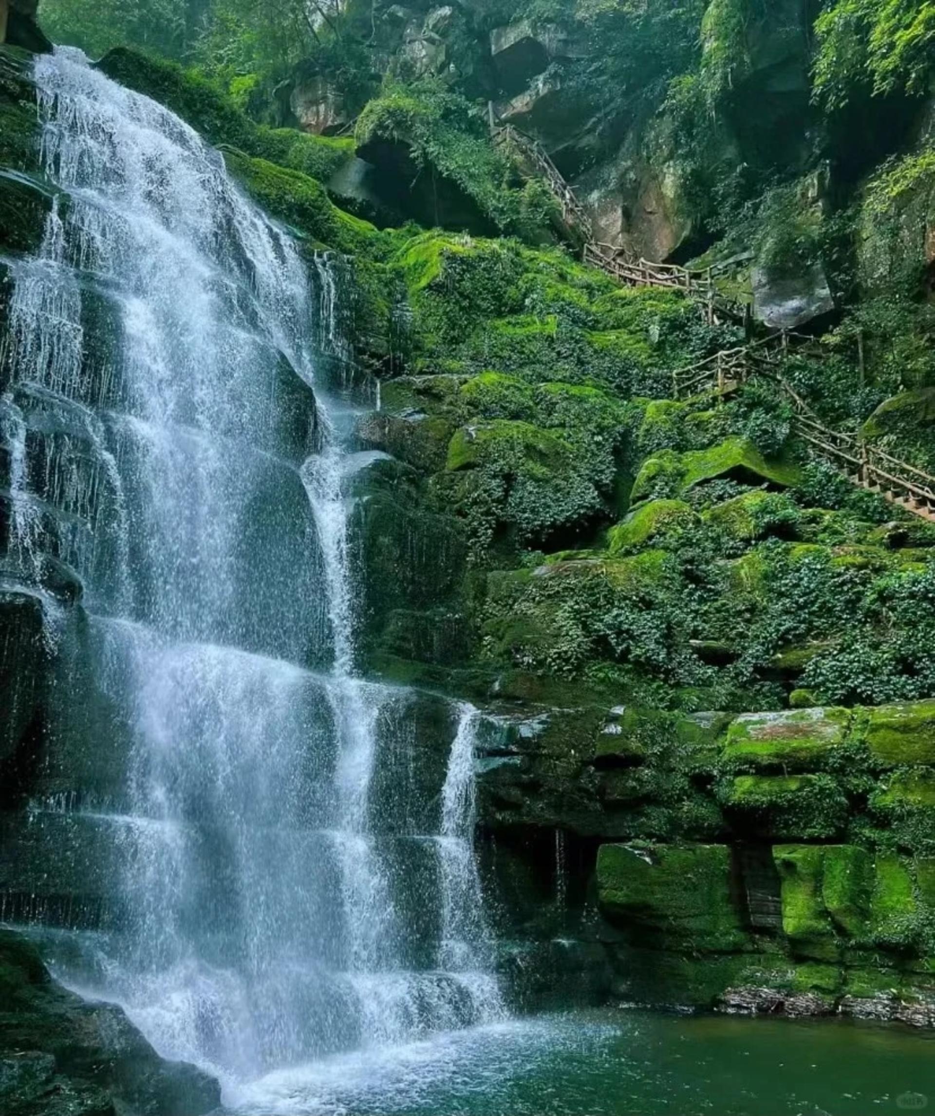 [Meet Xiang Xiang] Sichuan Bifengxia Panda Base & Huanglongxi Private Day Tour - Thumbnail 5