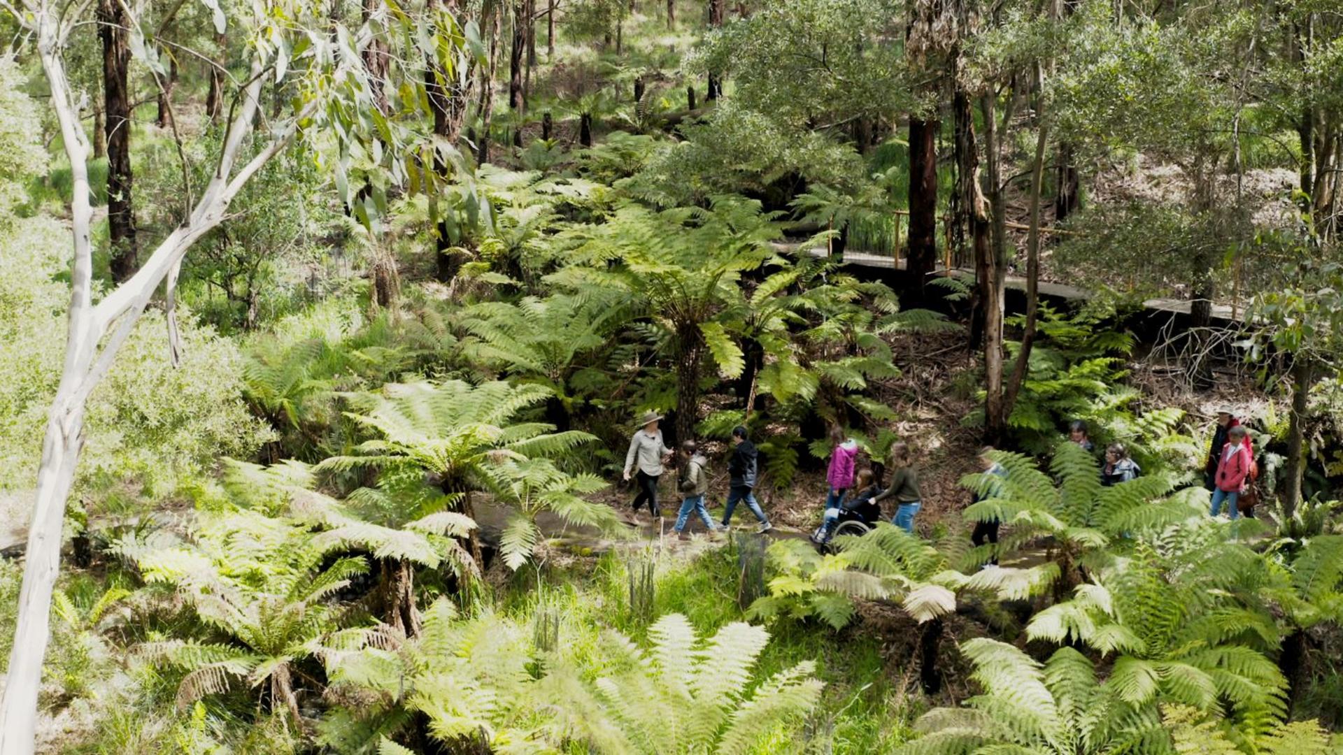 Wildlife Wonders Great Ocean Road   - Thumbnail 9