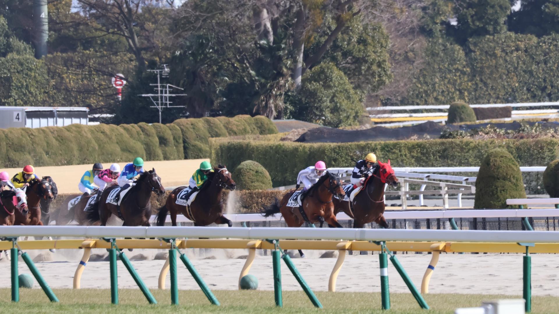 Tokyo Horse Racing Experience with Local Fan - Thumbnail 18