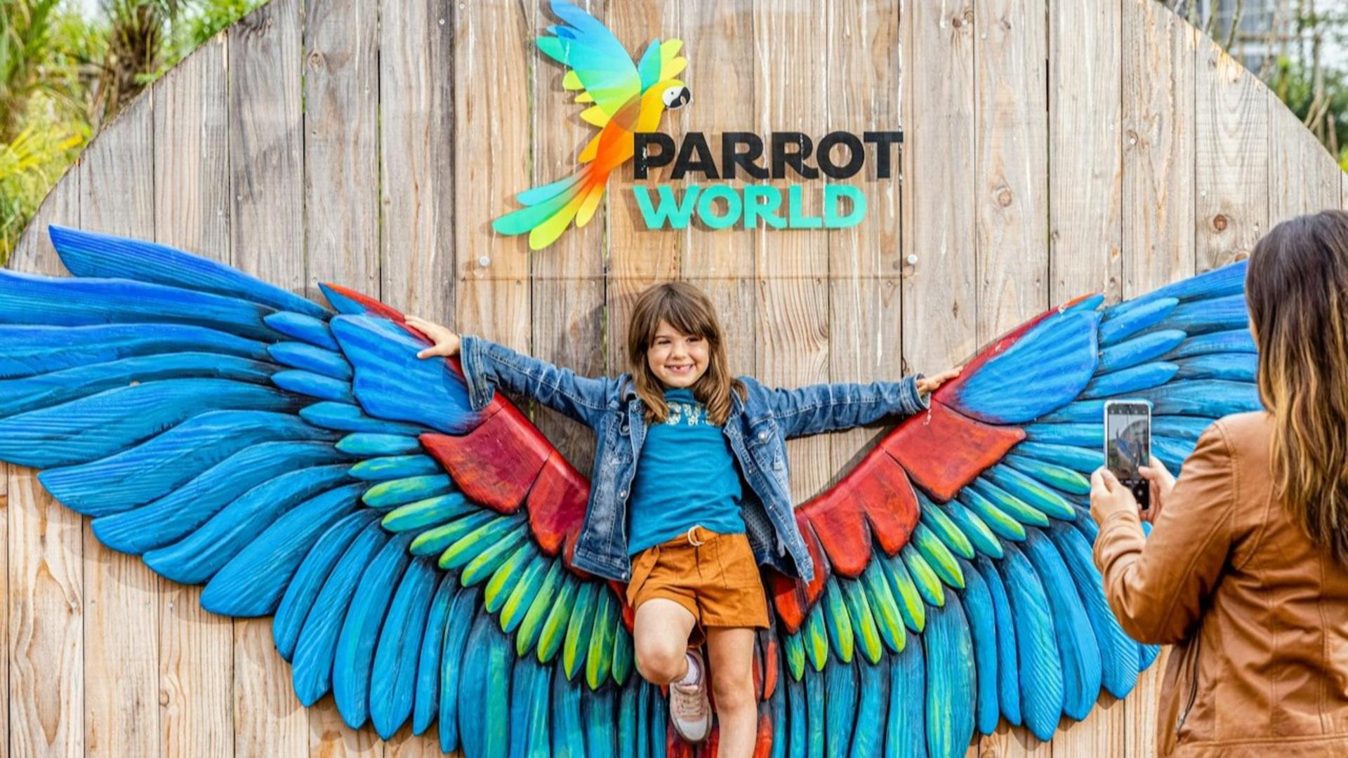 Parrot World ticket in Crecy-la-Chapelle - Image 1