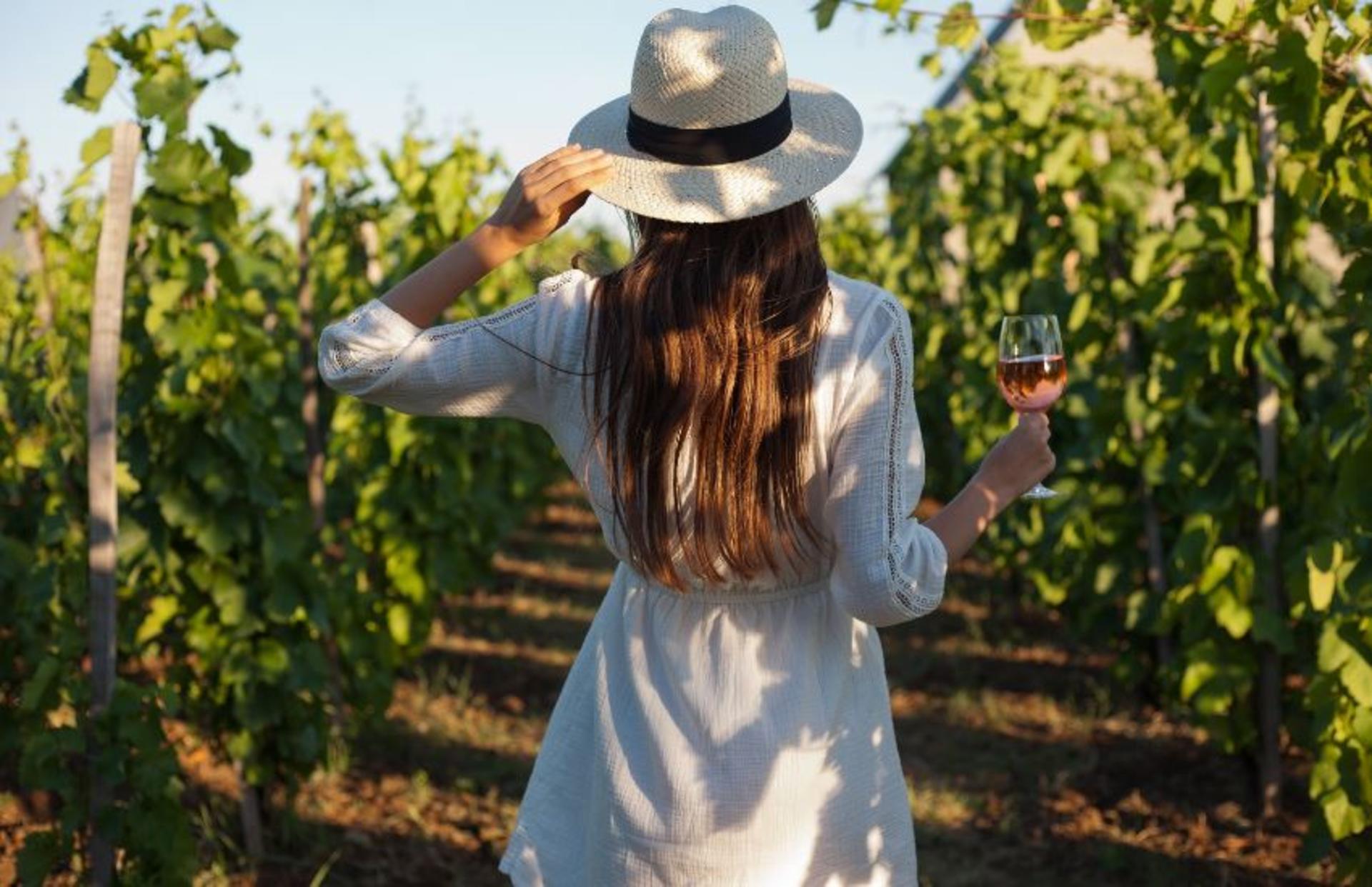 Chianti Vineyards Tour with Wine Tasting & Dinner from Florence - Thumbnail 4