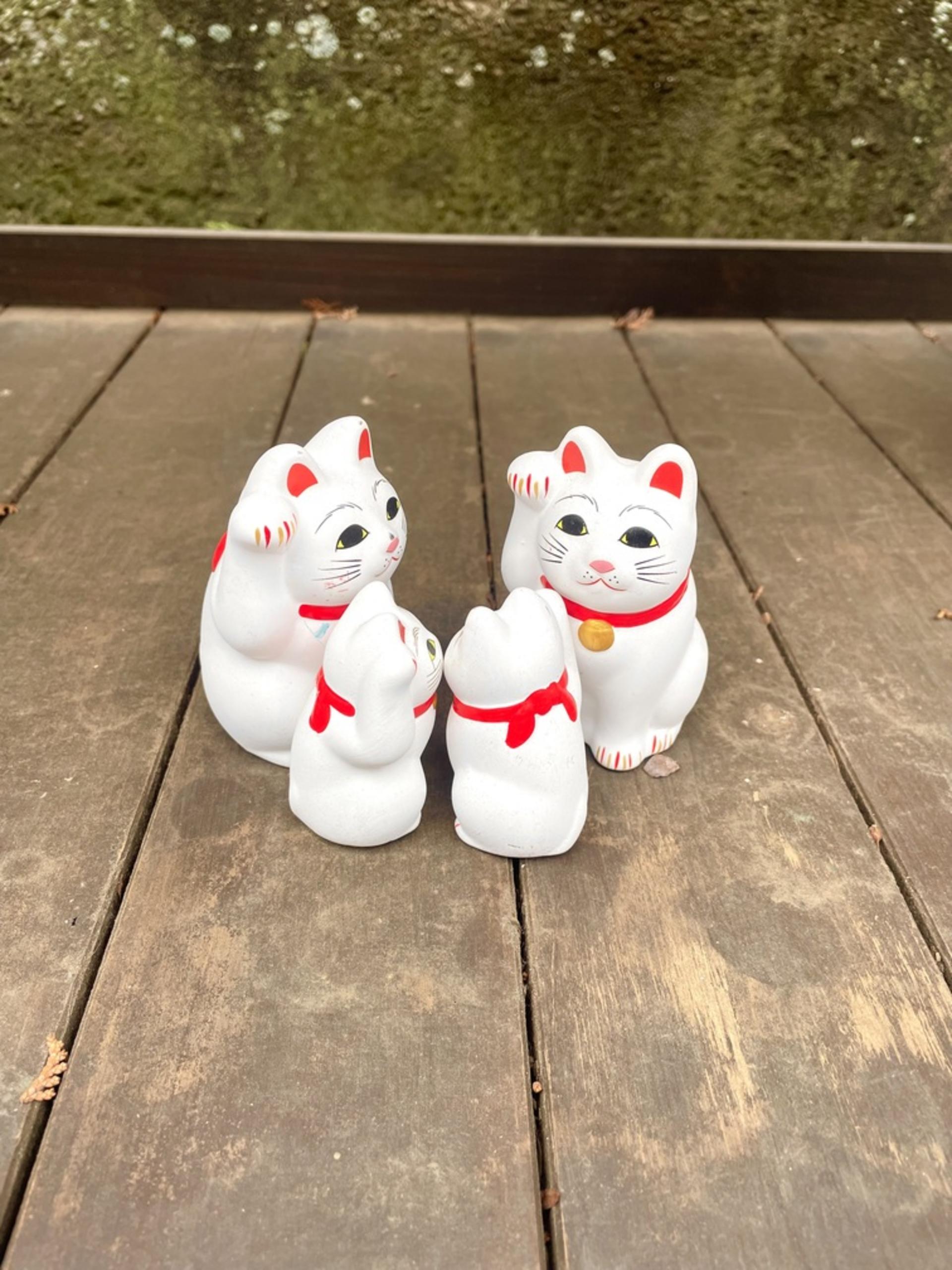 Tokyo Cat Cafe & Gotokuji Temple Half-Day Tour - Thumbnail 52
