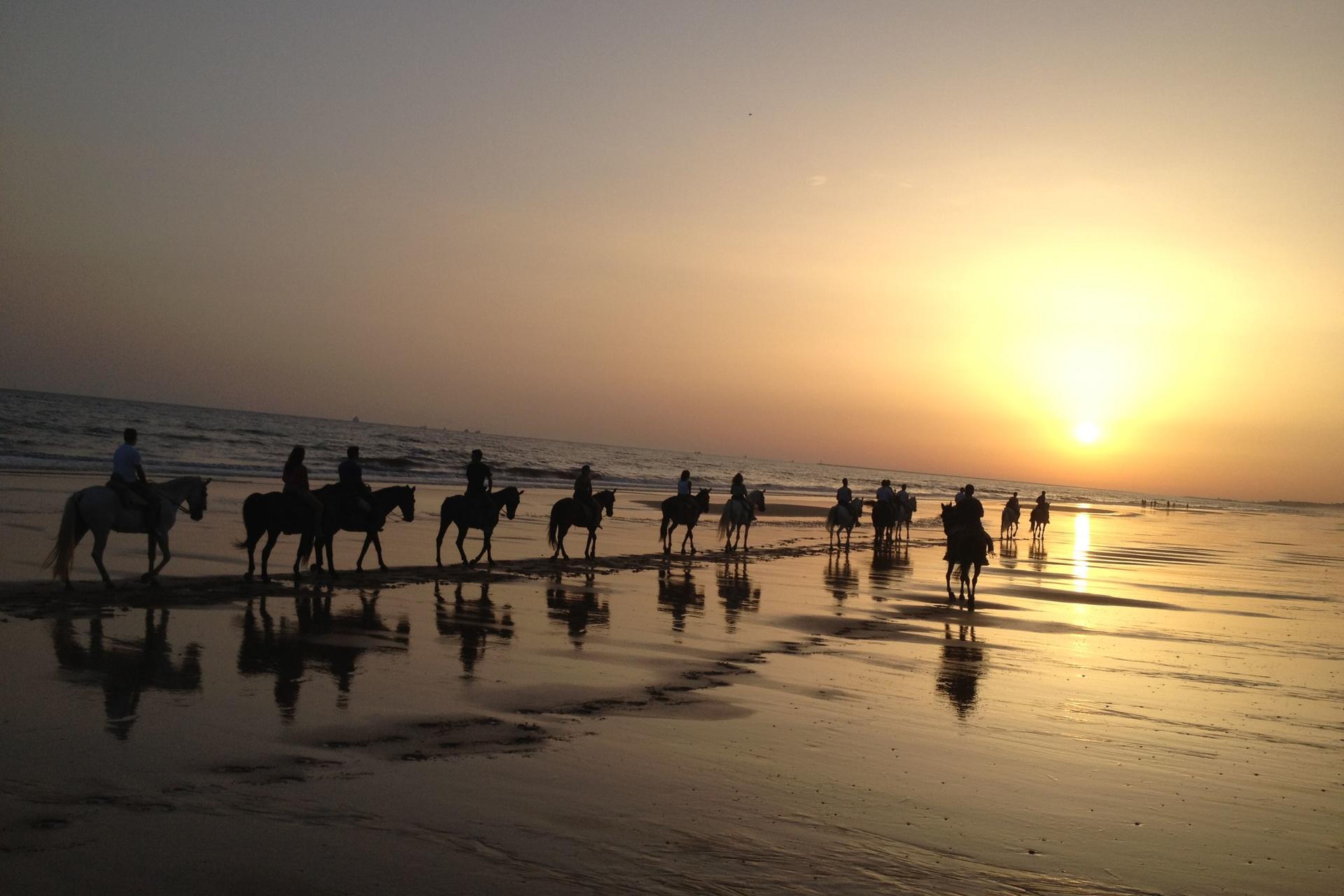 Donana National Park and El Rocio Village Day Tour from Seville - Thumbnail 2
