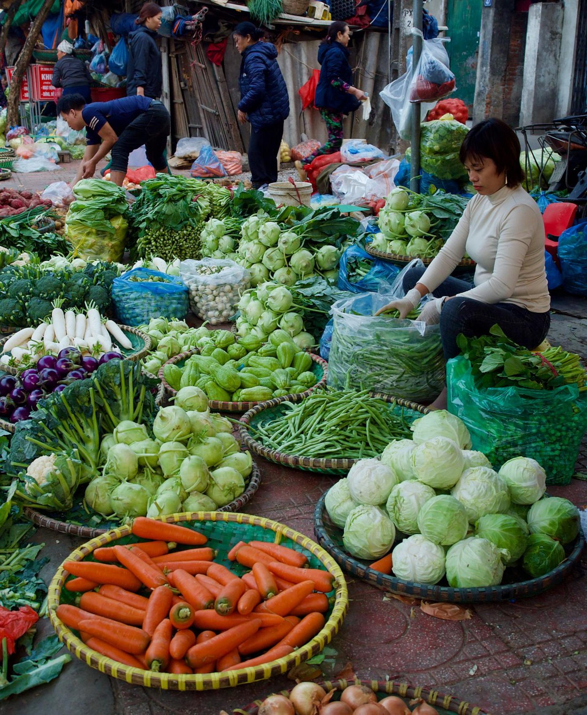 Hanoi Cultural Photography Guide Tours - Thumbnail 9