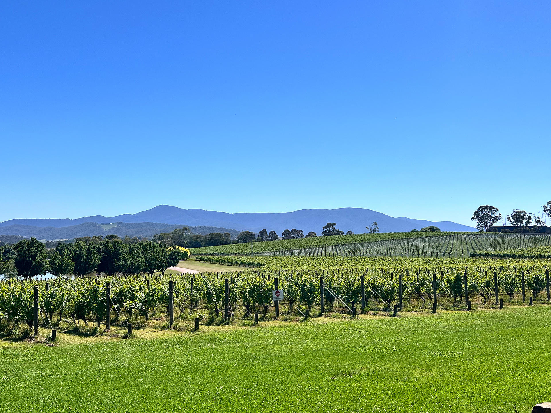 Relaxed Half Day Yarra Valley Wine Tour from Melbourne - Thumbnail 16