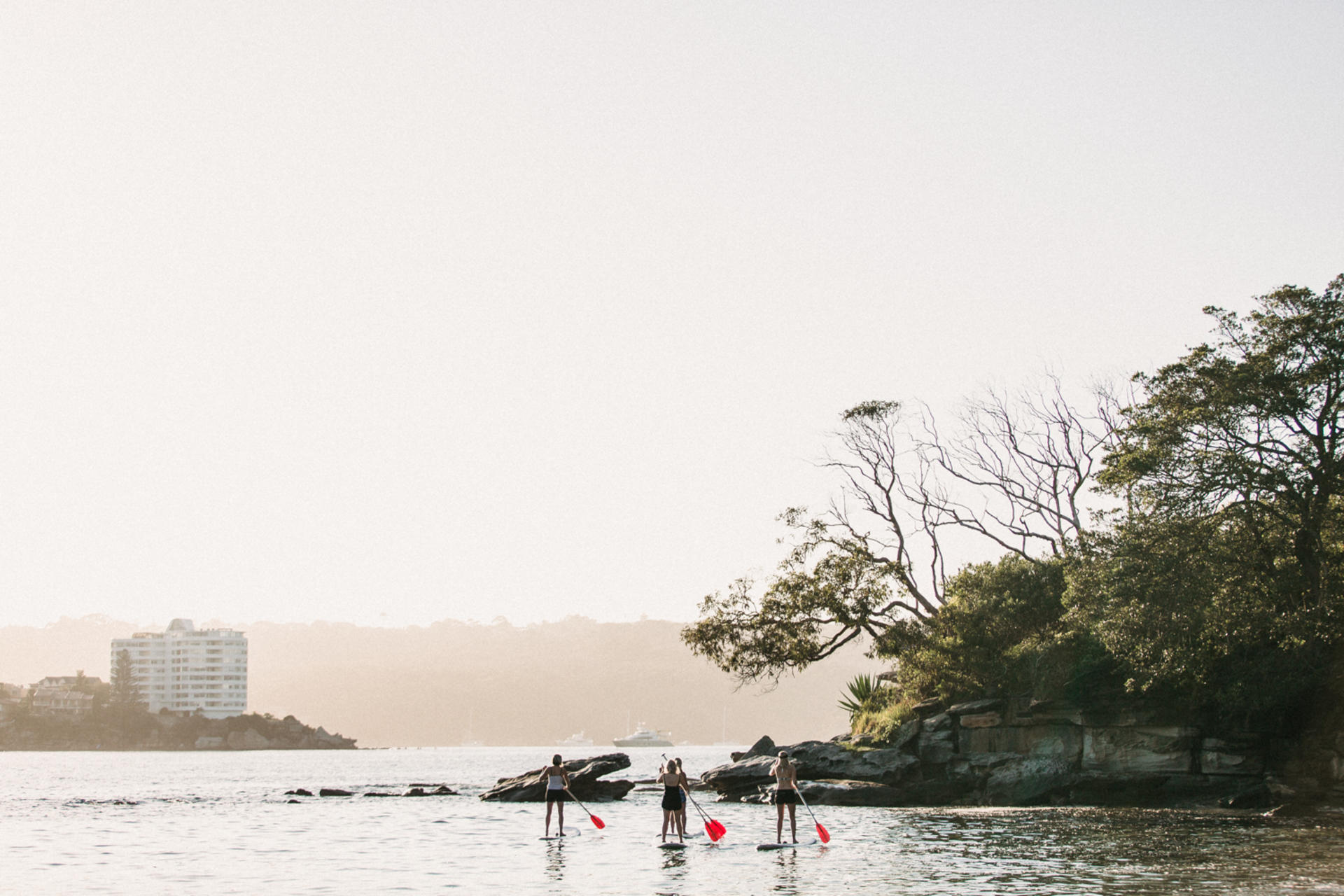 Manly Stand Up Paddleboard Hire - Thumbnail 4