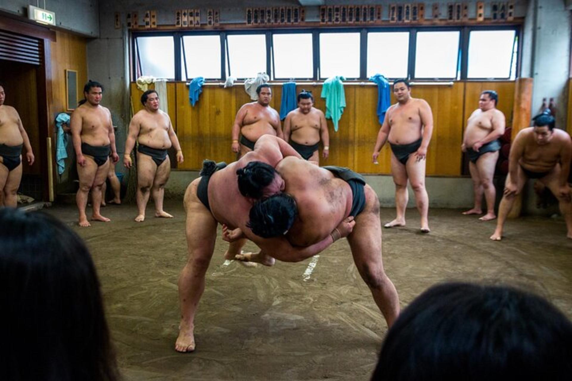 Tokyo Sumo Morning Practice Tour: Real Stable Viewing & Guide - Thumbnail 14