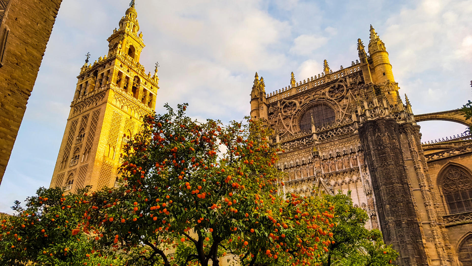 Cathedral of Seville Guided Tour  - Thumbnail 5