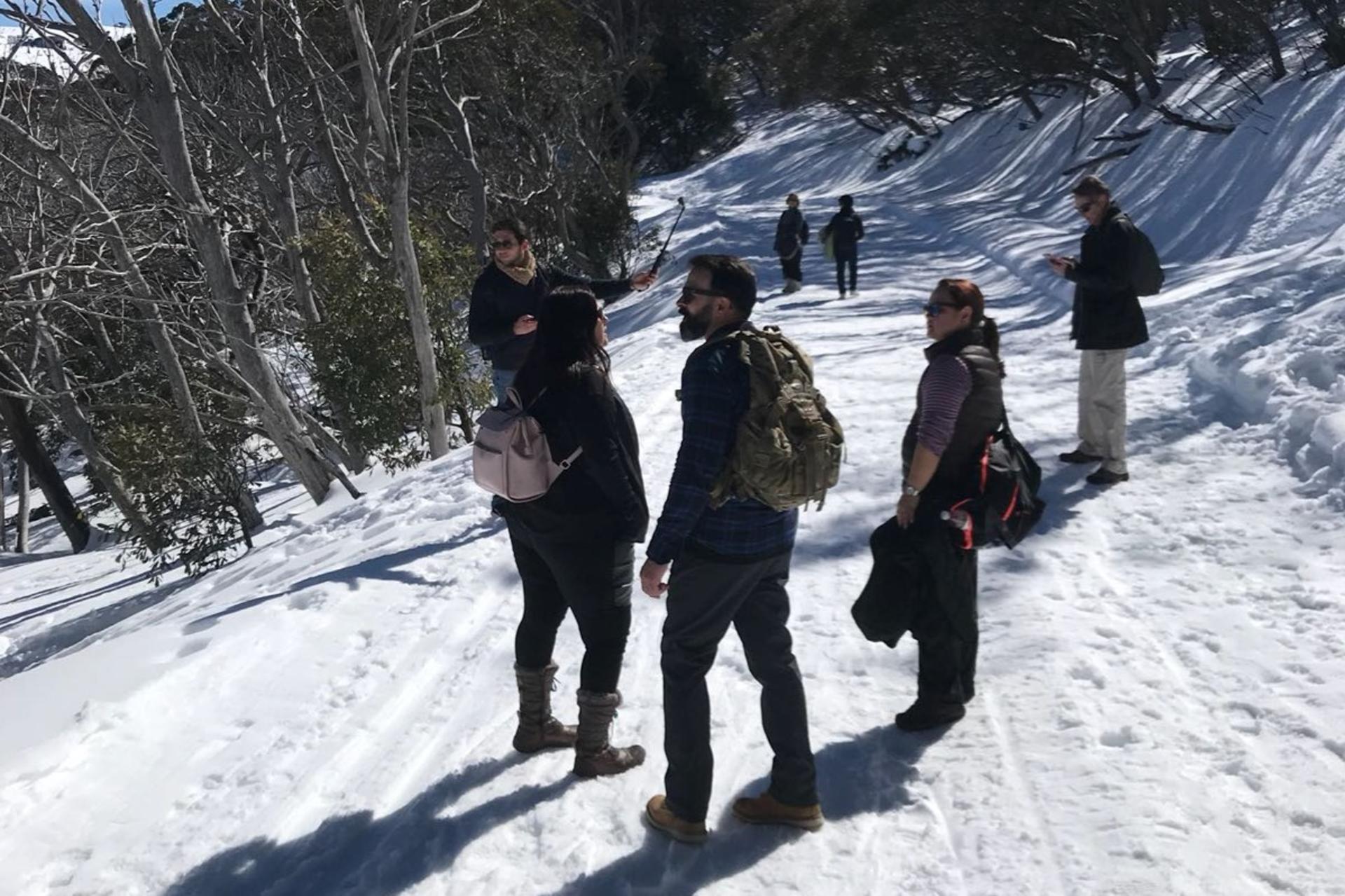 Mt Buller Small Group Boutique Tour with Exclusive Circuit Walk - Thumbnail 14