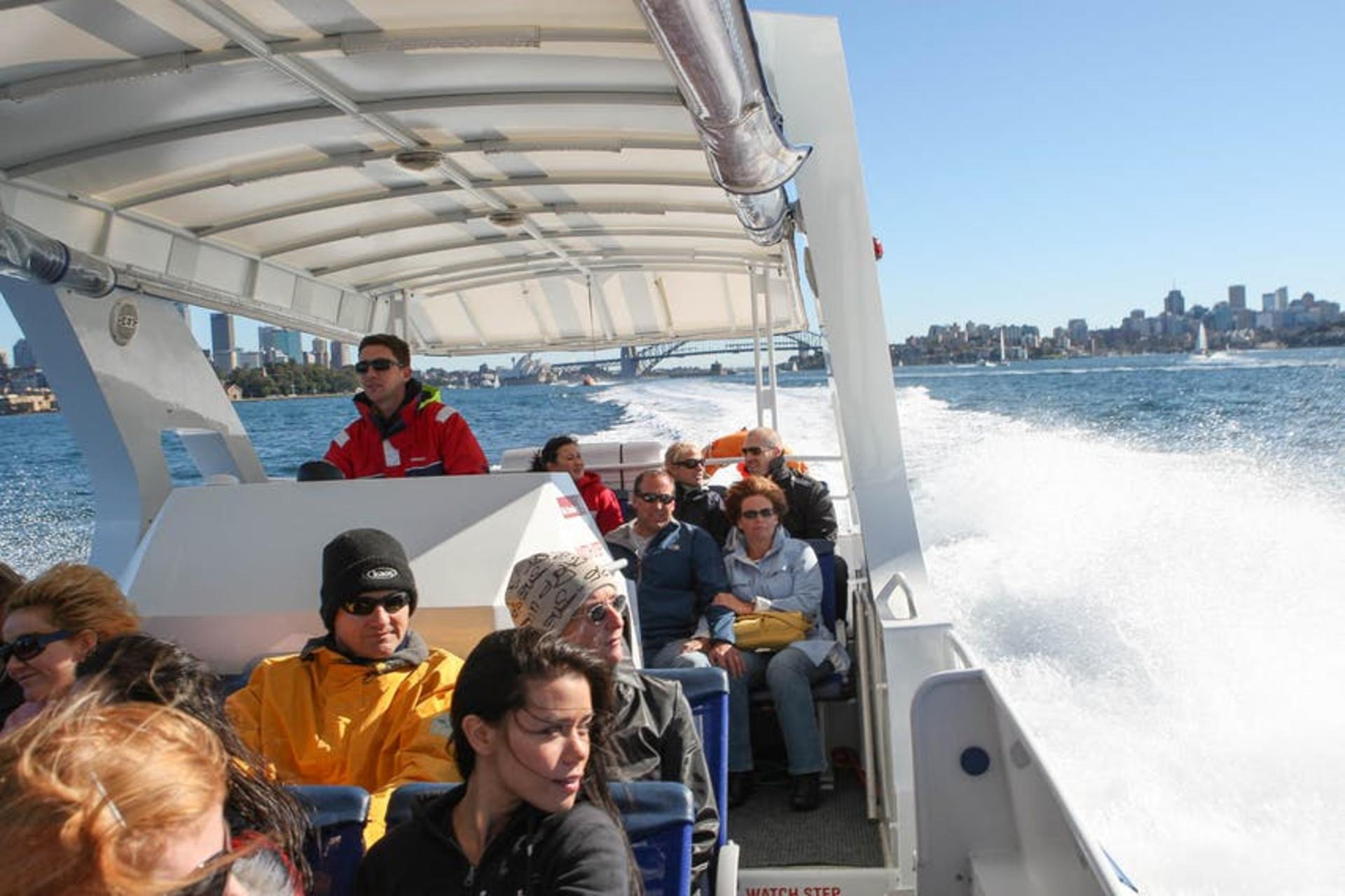 Sydney 2.5-Hour Adventure Whale Watching Cruise - Thumbnail 4