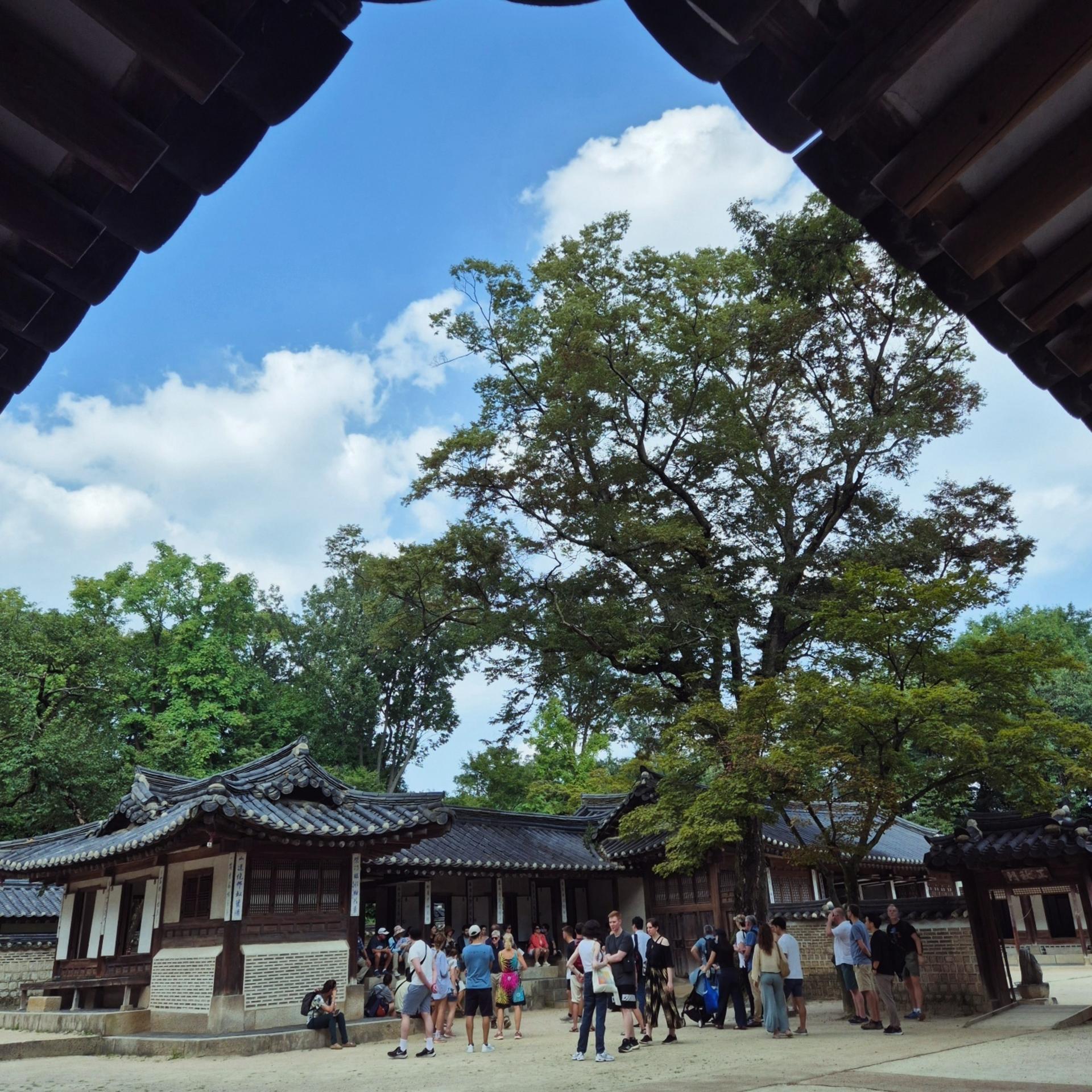 Seoul Private Half day Walking Tour - Thumbnail 14