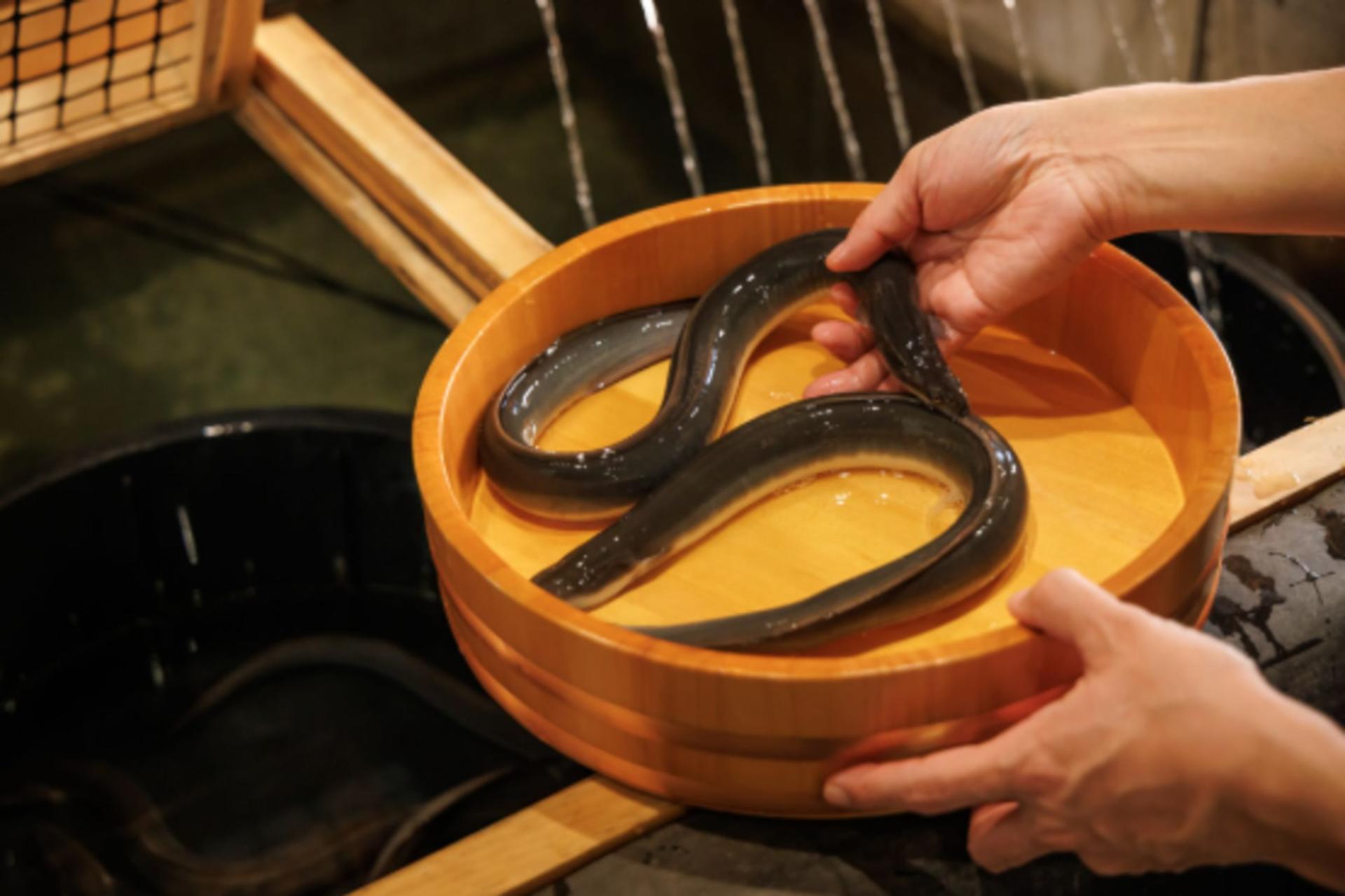【Unagi no Shiromura Izumi Store】Premium Mikawa Eel Dining - Thumbnail 5