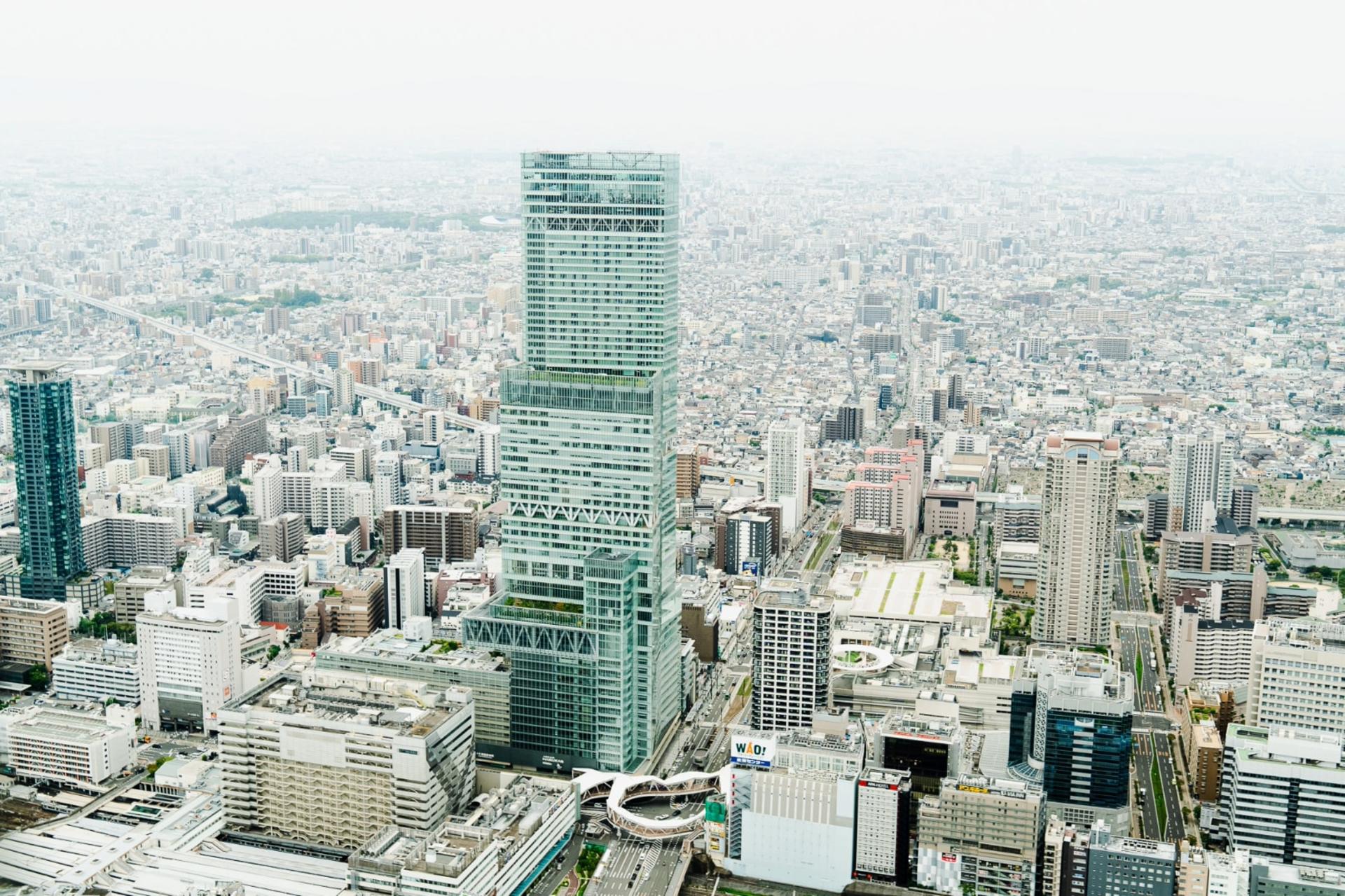 Private Cessna Flight Over Osaka Castle & UNESCO Sites (Osaka) - Thumbnail 3