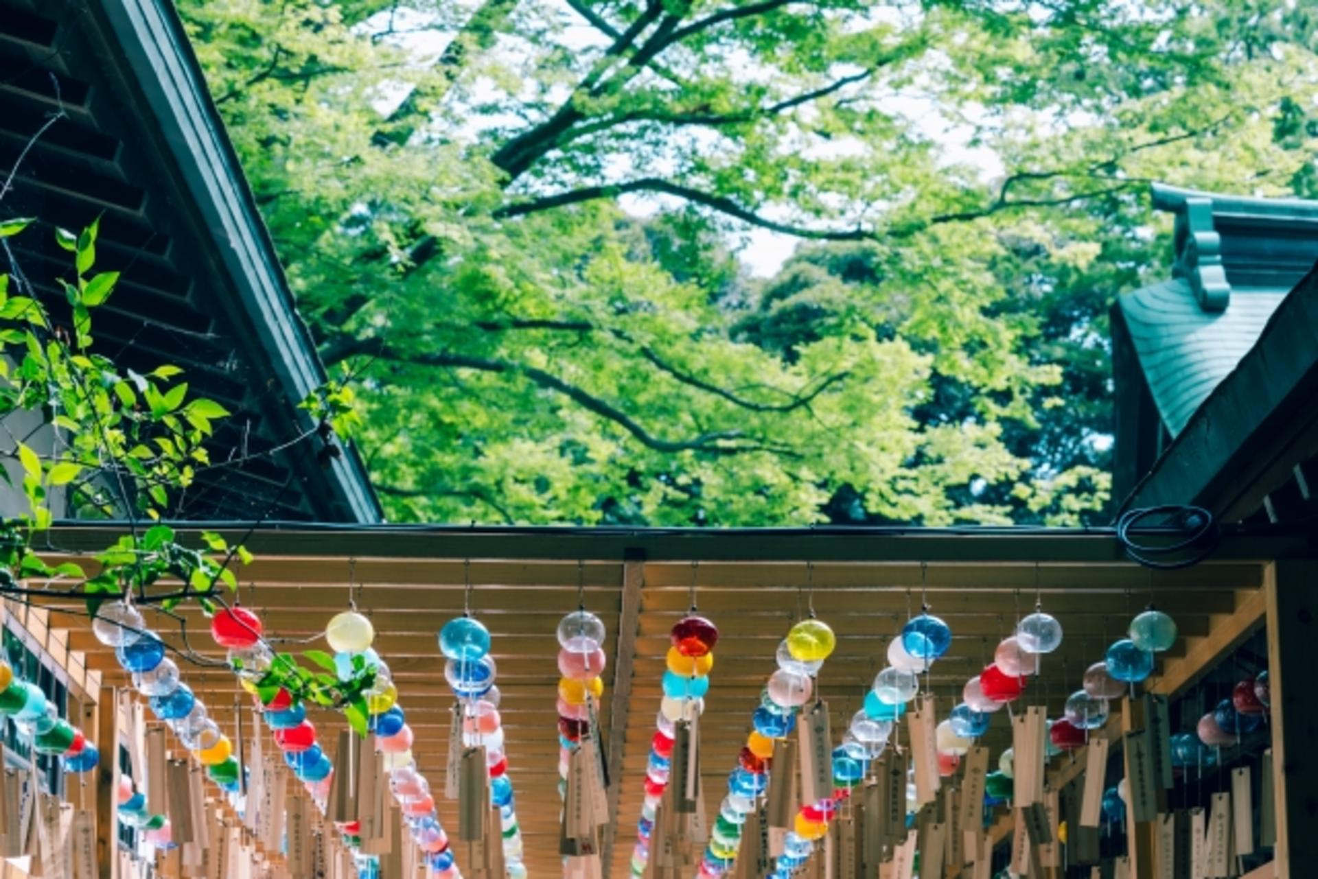 Autumn Fireworks Festival 1-Day Tour: Tsuchiura Fireworks Competition (includes admission ticket) / Kinugawa Fireworks (includes admission ticket) / Oarai Sea Fireworks / Tonegawa Fireworks - Thumbnail 14