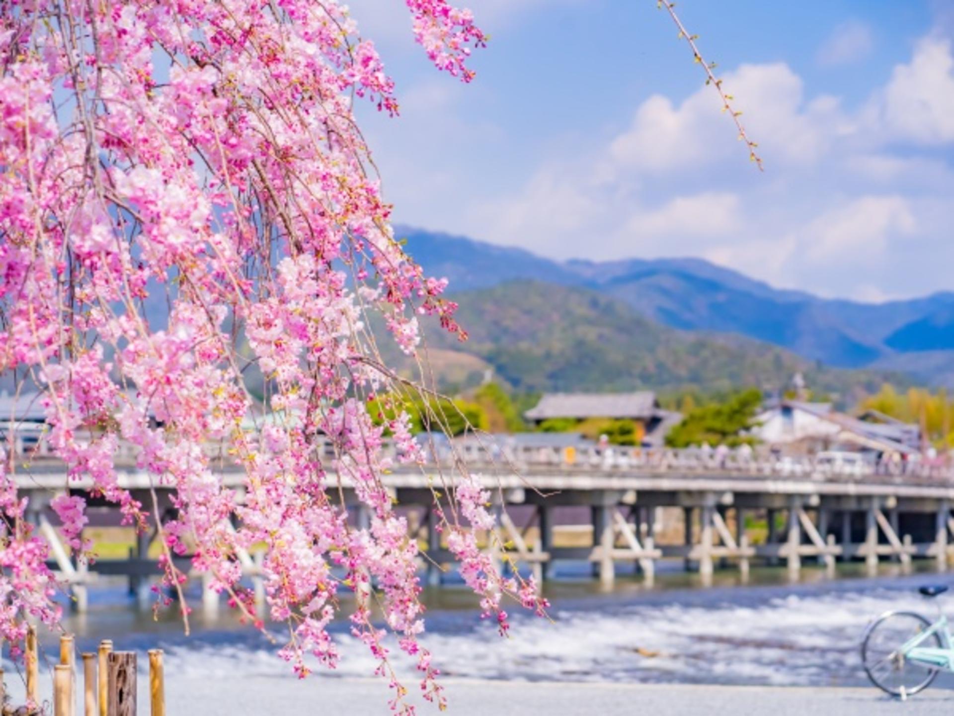 One-day trip to Kyoto's Kifune Shrine, Arashiyama, and Sanzen-in Temple - Thumbnail 16