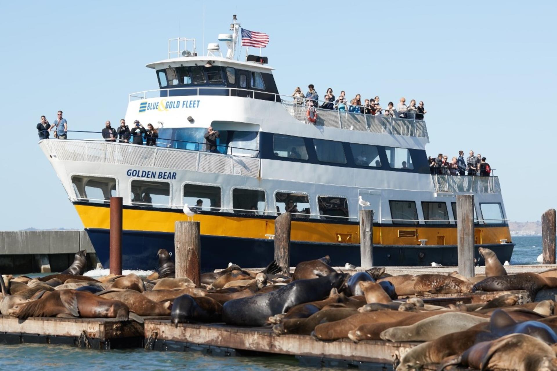 San Francisco Bay Cruise Adventure - Thumbnail 2