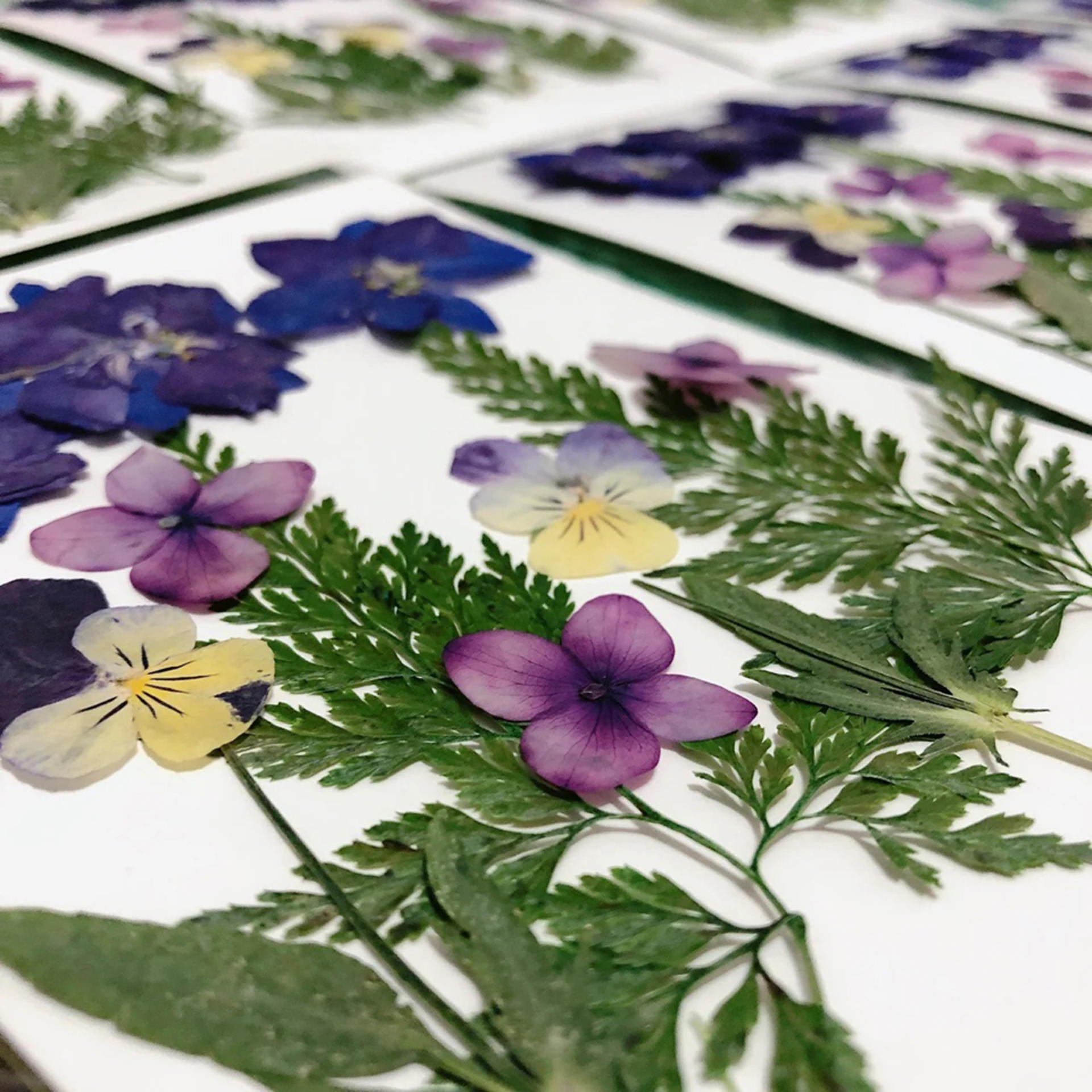 Bing Shu Lab | Pressed Flower Art Workshop - Thumbnail 3