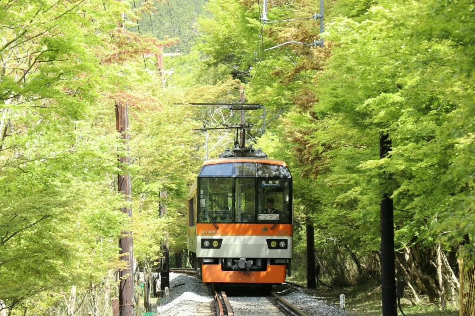Eizan Electric Railway 1-Day Pass “Ee Kippu” & Kurama Onsen Set Ticket - Thumbnail 4
