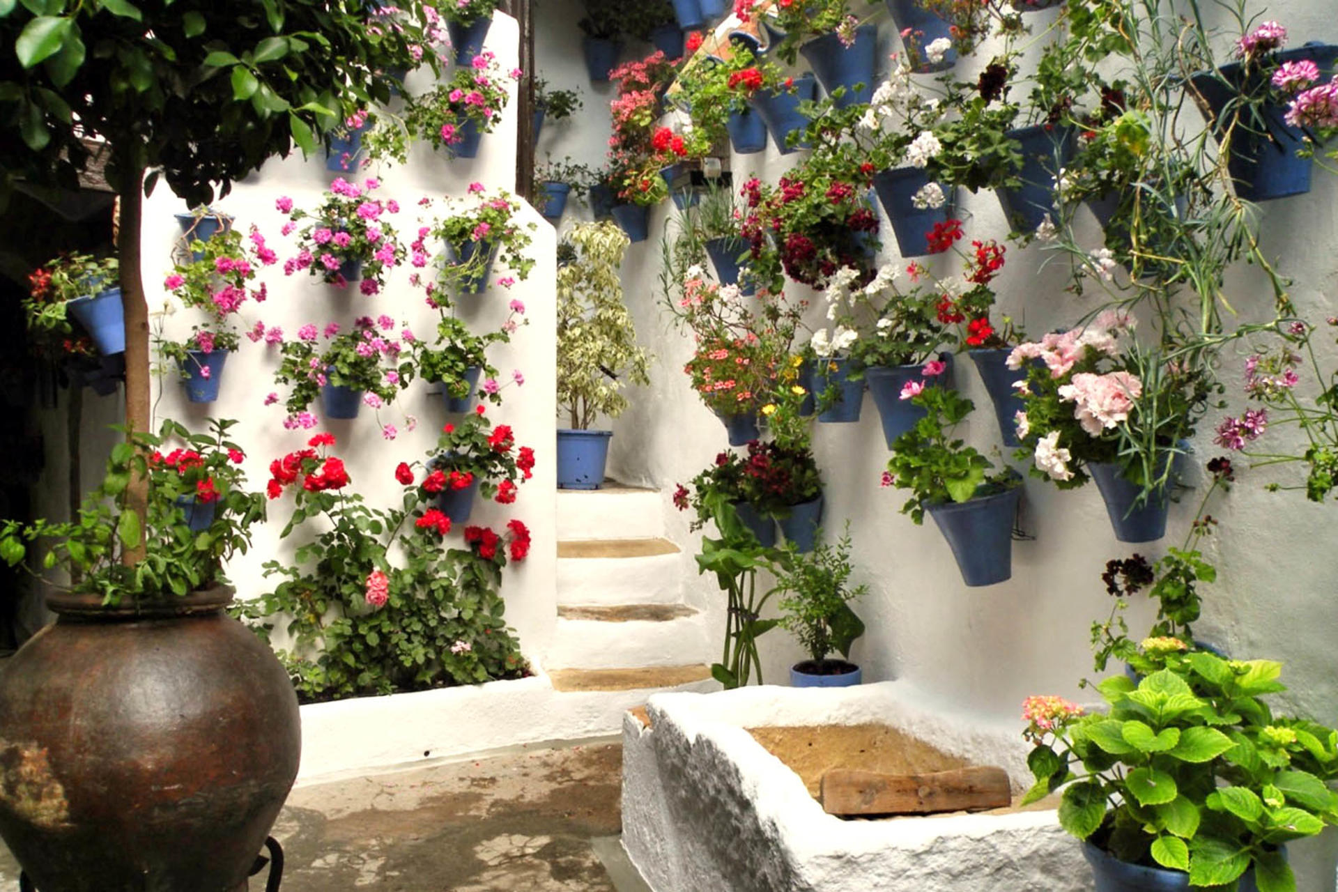 Popular Patios of Cordoba Guided Tour - Thumbnail 2