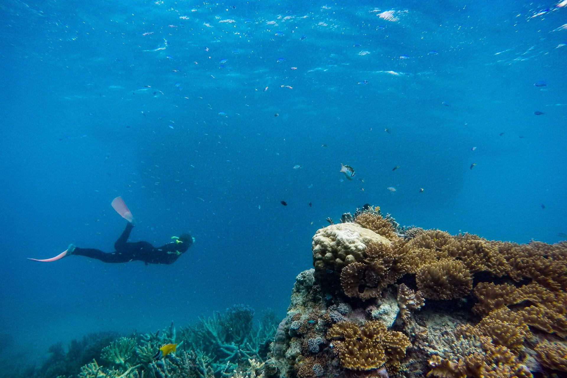 Great Barrier Reef Pontoon from Cairns including Snorkelling - Thumbnail 11