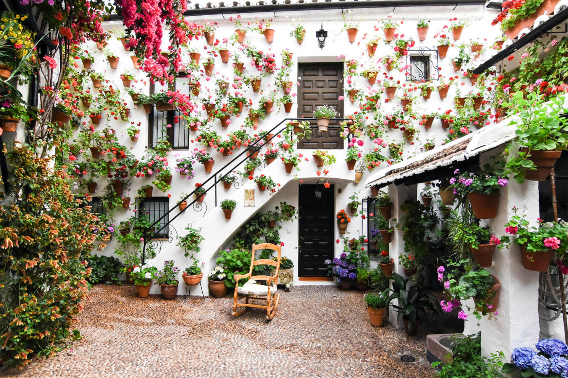Popular Patios of Cordoba Guided Tour - Thumbnail 3