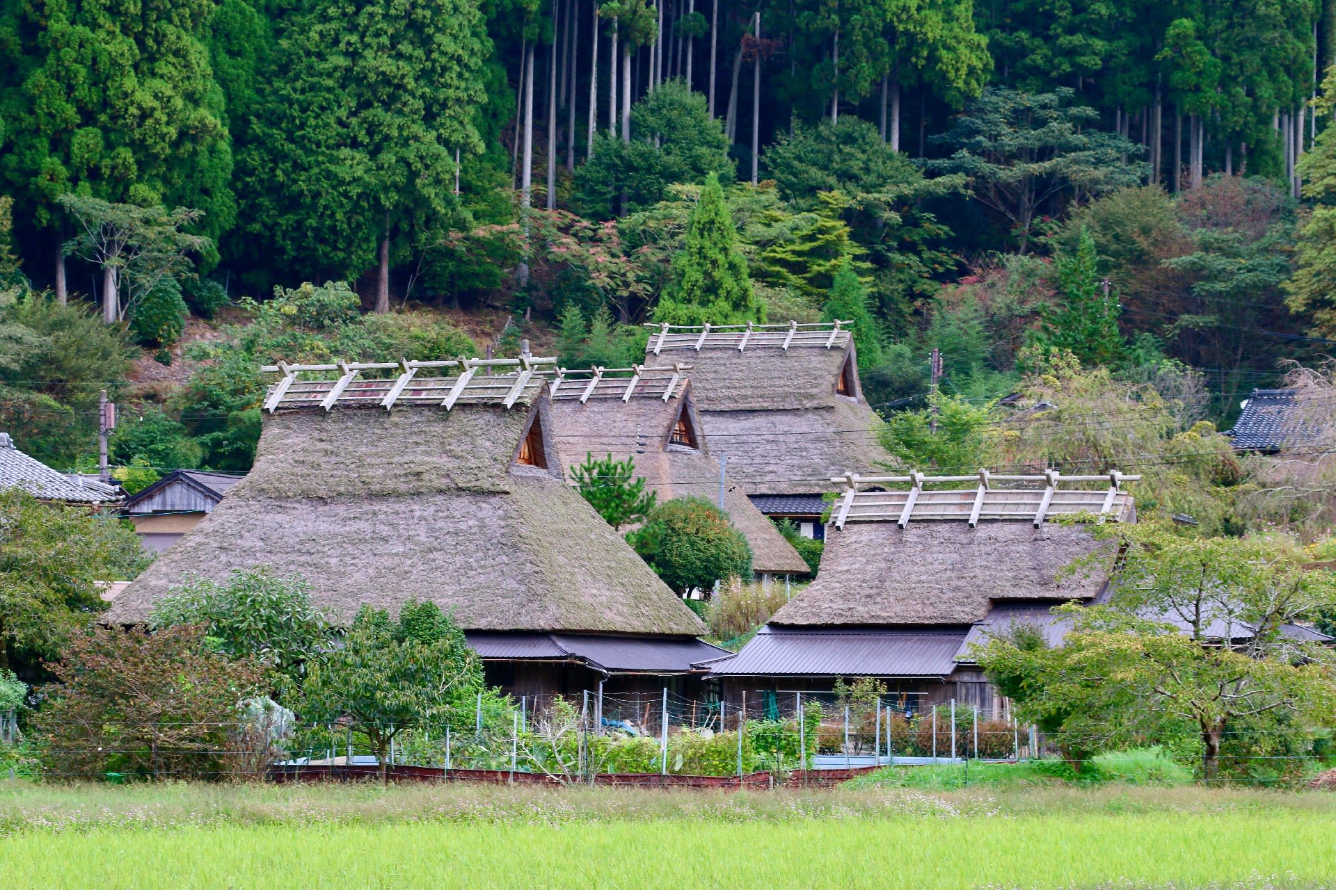 Day Trip to Amanohashidate & Ine no Funaya & Miyama Thatched Village in the Sea of Kyoto (Departure from Osaka or Kyoto) - Thumbnail 32