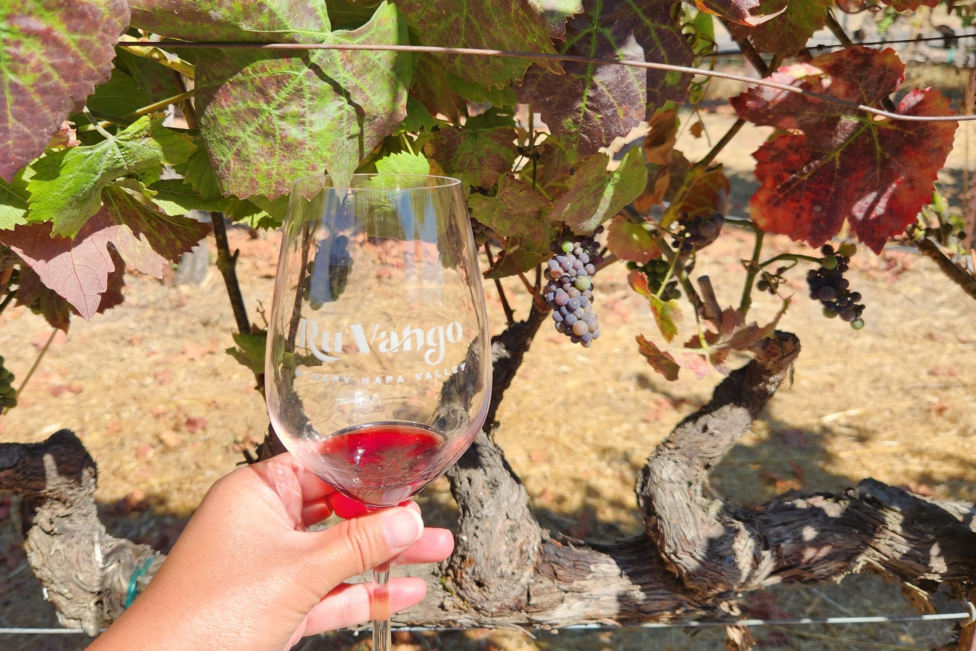 Half-Day Wine Tasting Tour from San Francisco - Thumbnail 4