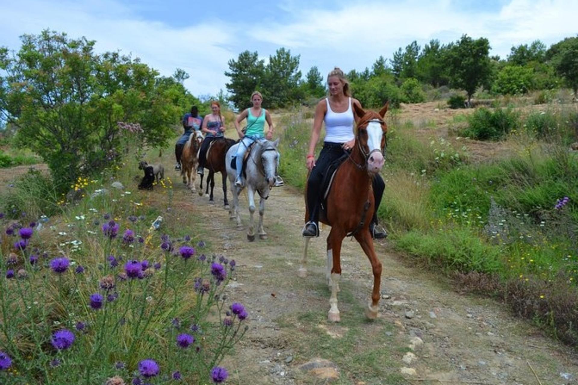 Alanya: Horseback Ride Through Nature near Syedra Ruins - Thumbnail 3