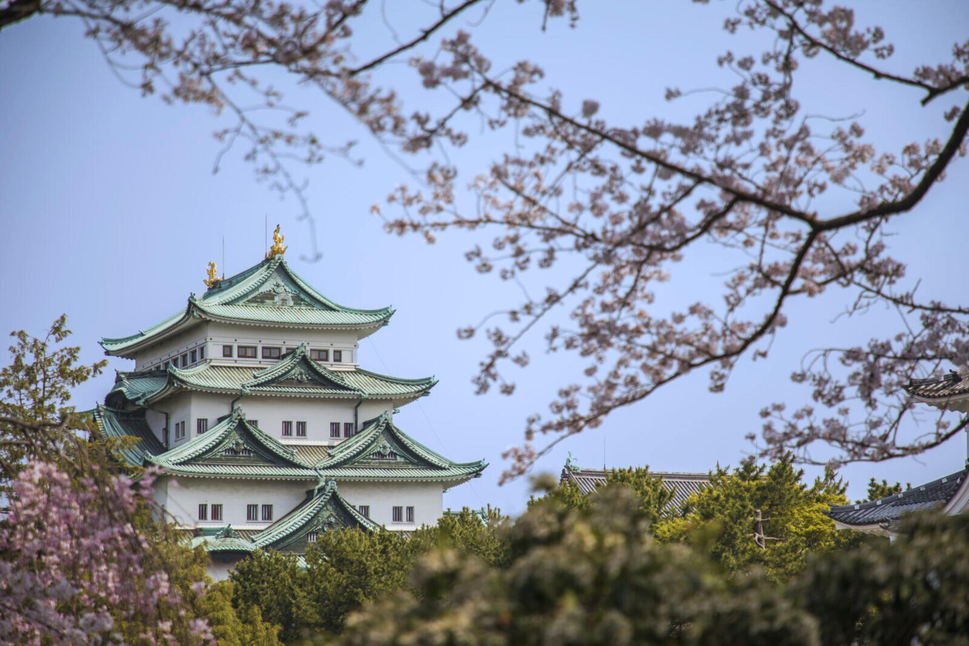 Guided Walk through Nagoya's Castle, Gardens, and Historic Estates - Thumbnail 4