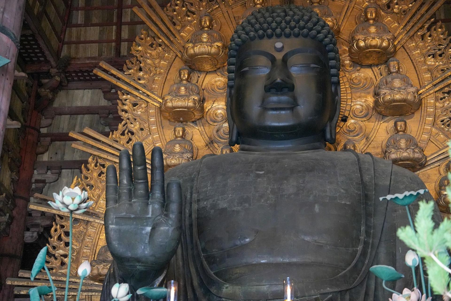 1-Day Nara & Osaka Private Highlights Day Tour  - Thumbnail 26