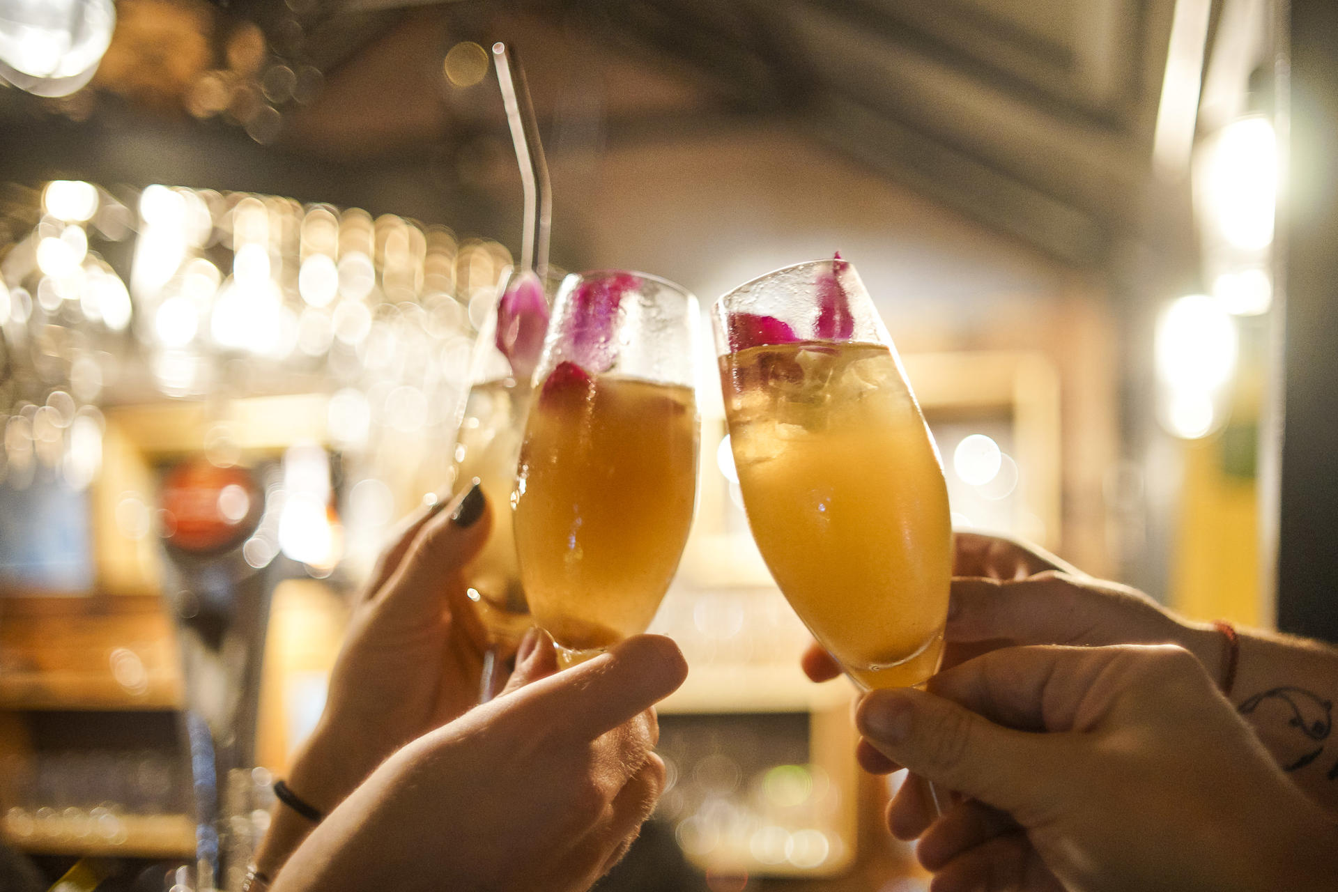 Secret Cocktail Experience in Hoi An - Thumbnail 7