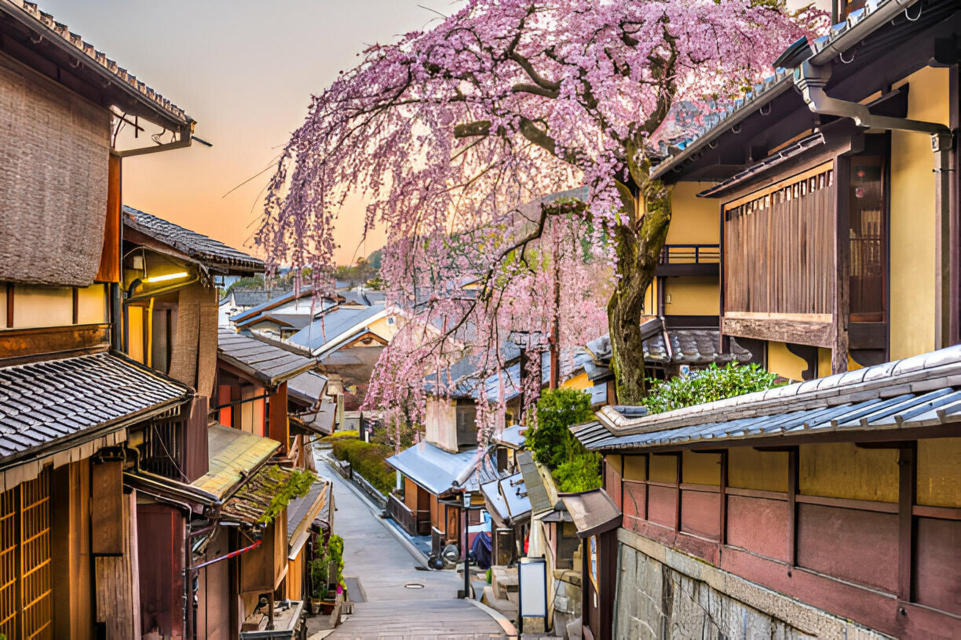 Kyoto Highlights Private Day Trip (Departure from Osaka/Kyoto) - Thumbnail 20