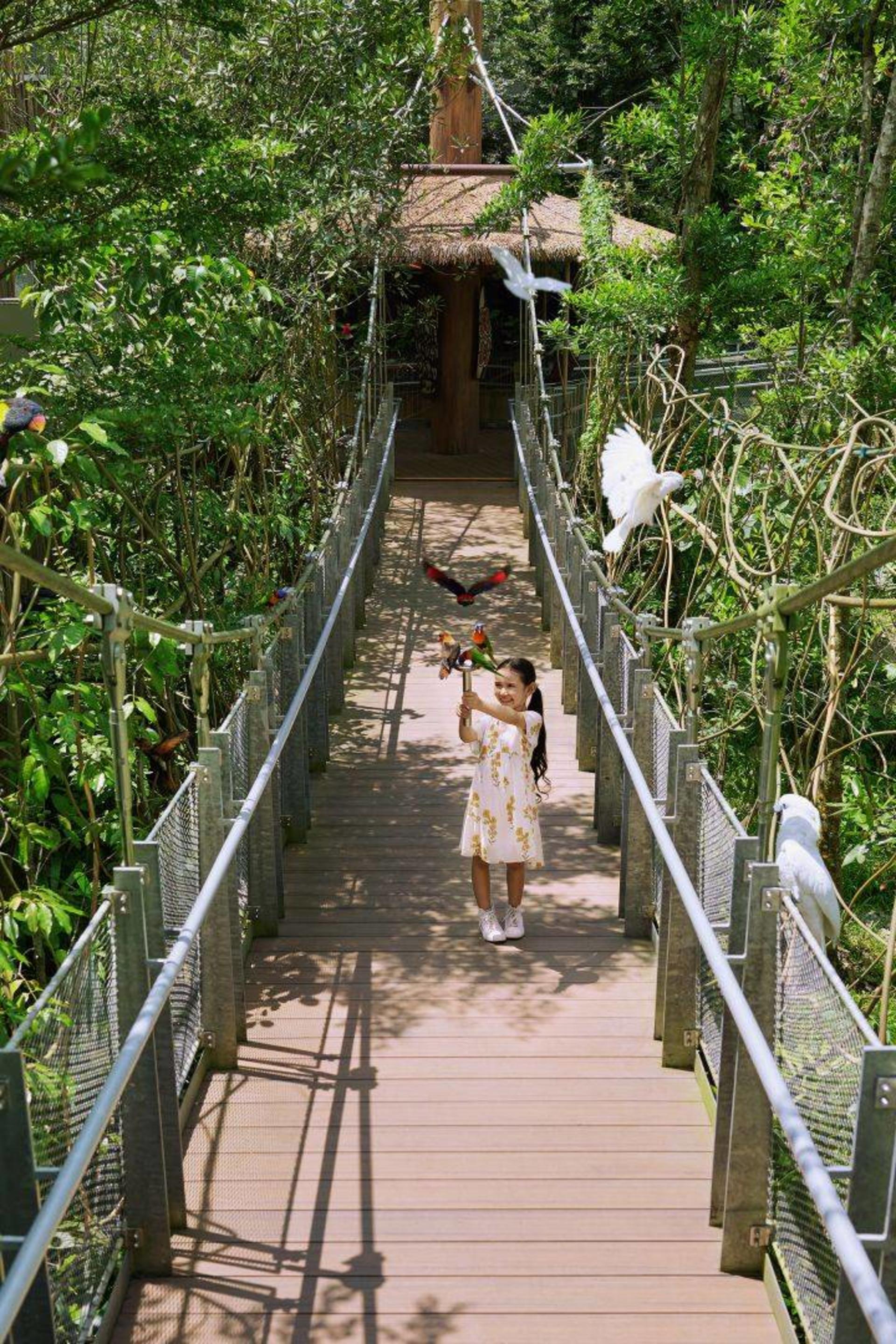 Bird Paradise Ticket | Mandai Wildlife Reserve, Singapore - Thumbnail 21