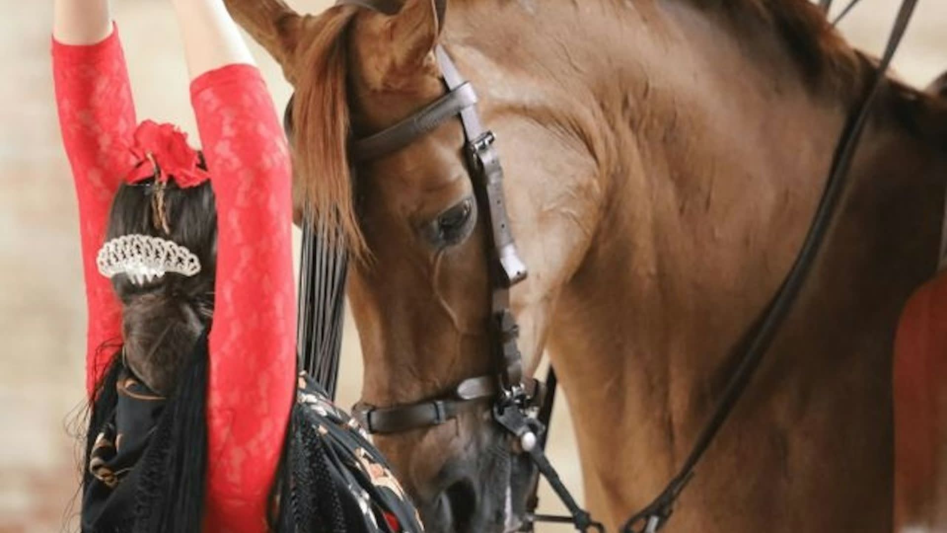 The Andalusian Horse Equestrian Show Ticket in Cordoba - Thumbnail 4