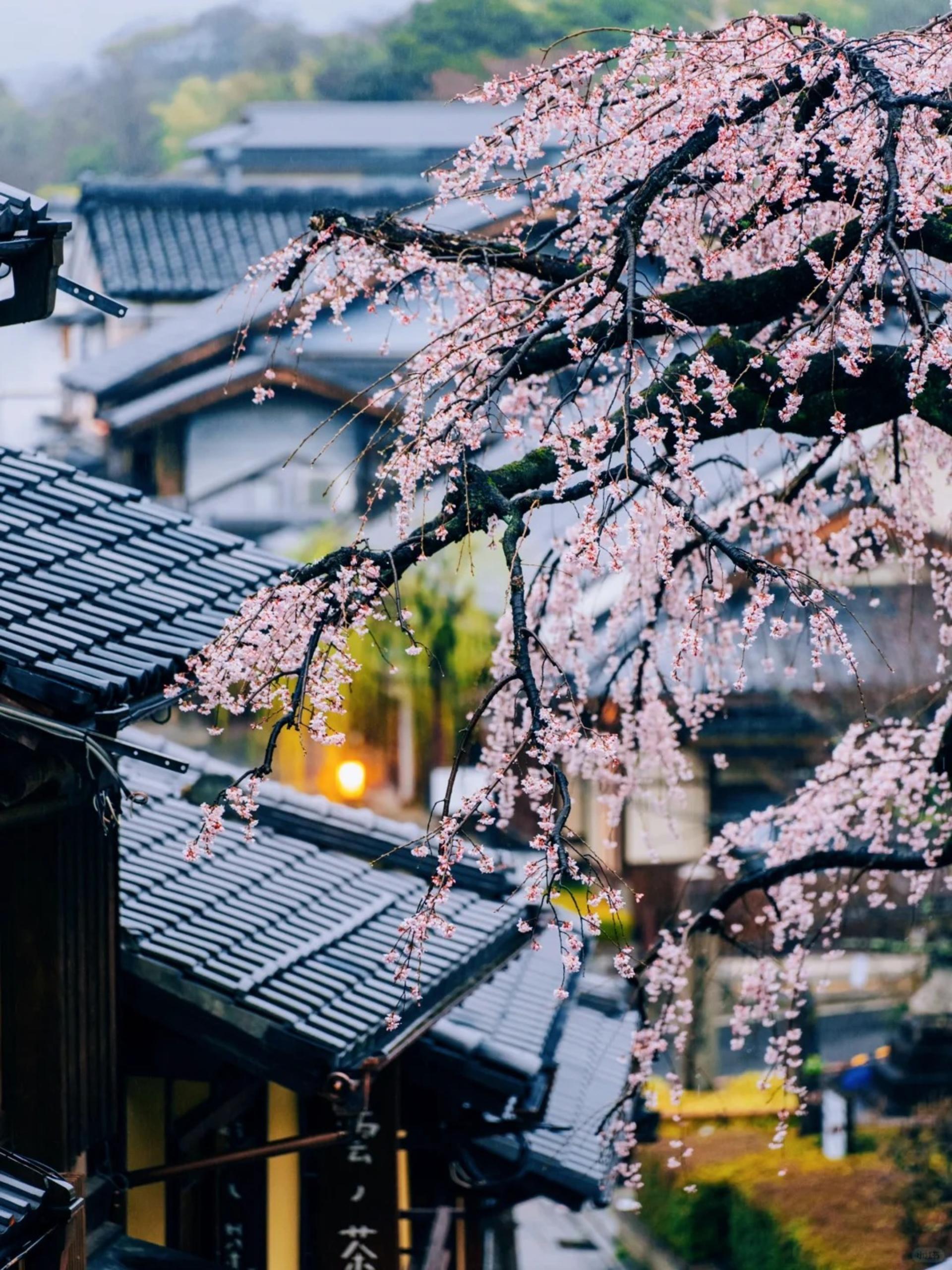 Kyoto & Uji World Heritage One-Day Tour: Kinkaku-ji Temple & Kiyomizu-dera Temple & Byodo-in Temple & Uji Matcha Food Street (Departing from Osaka or Kyoto) - Thumbnail 16