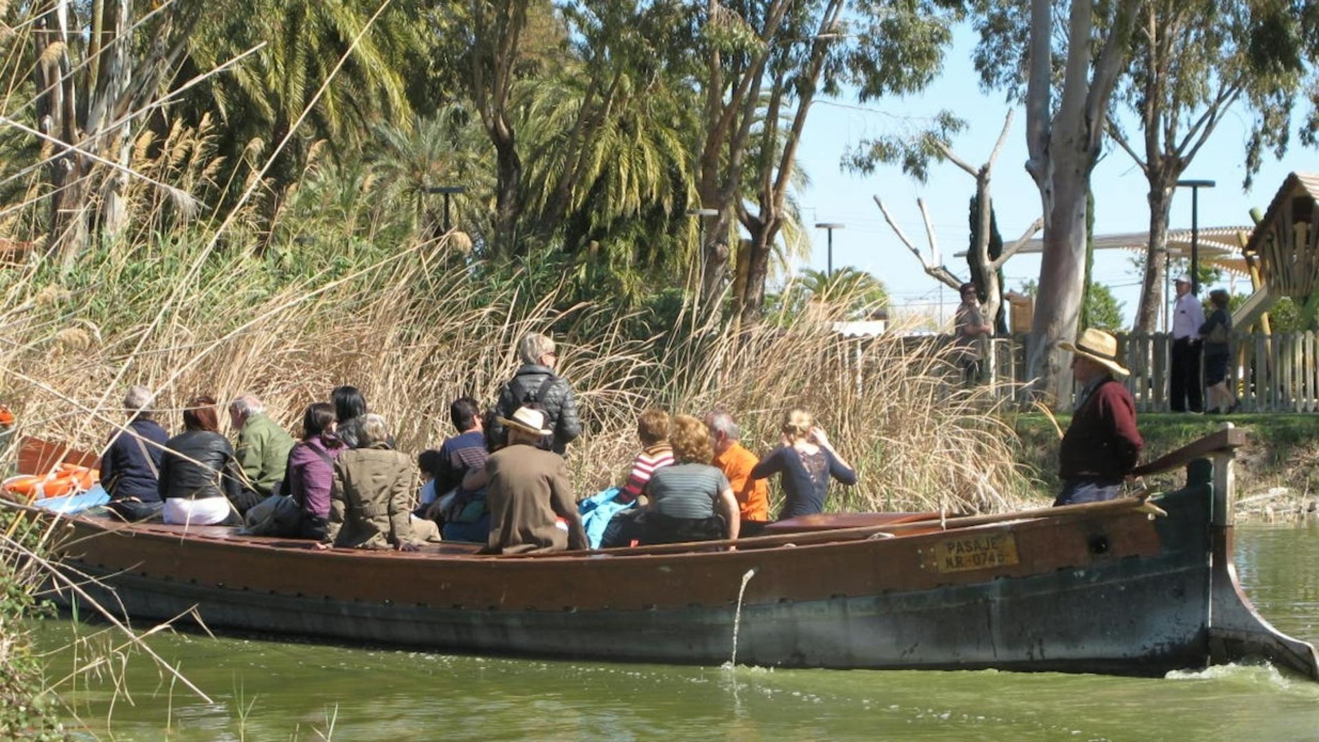Boat cruise experience and bus trip in Albufera Natural Park   - Thumbnail 4
