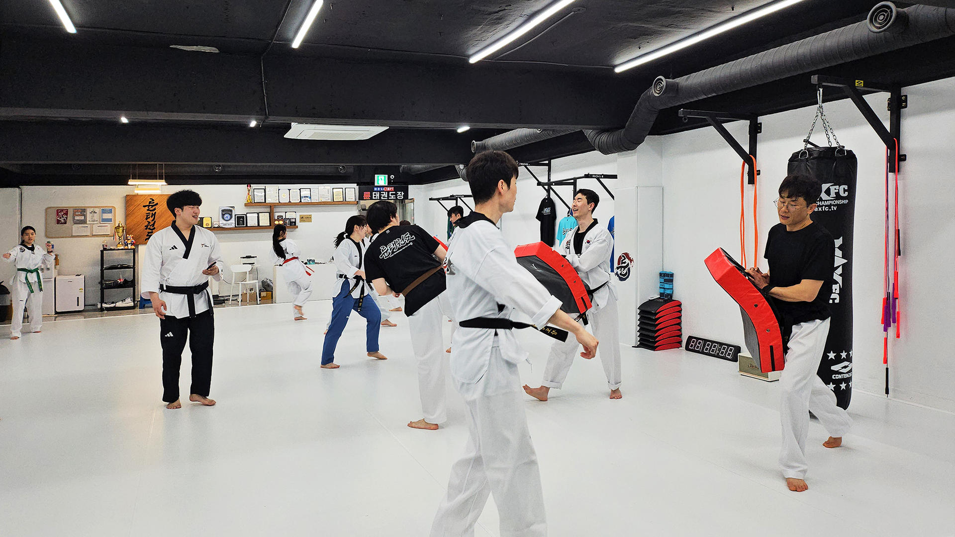 Real Korean Taekwondo Experience with Locals - Thumbnail 3