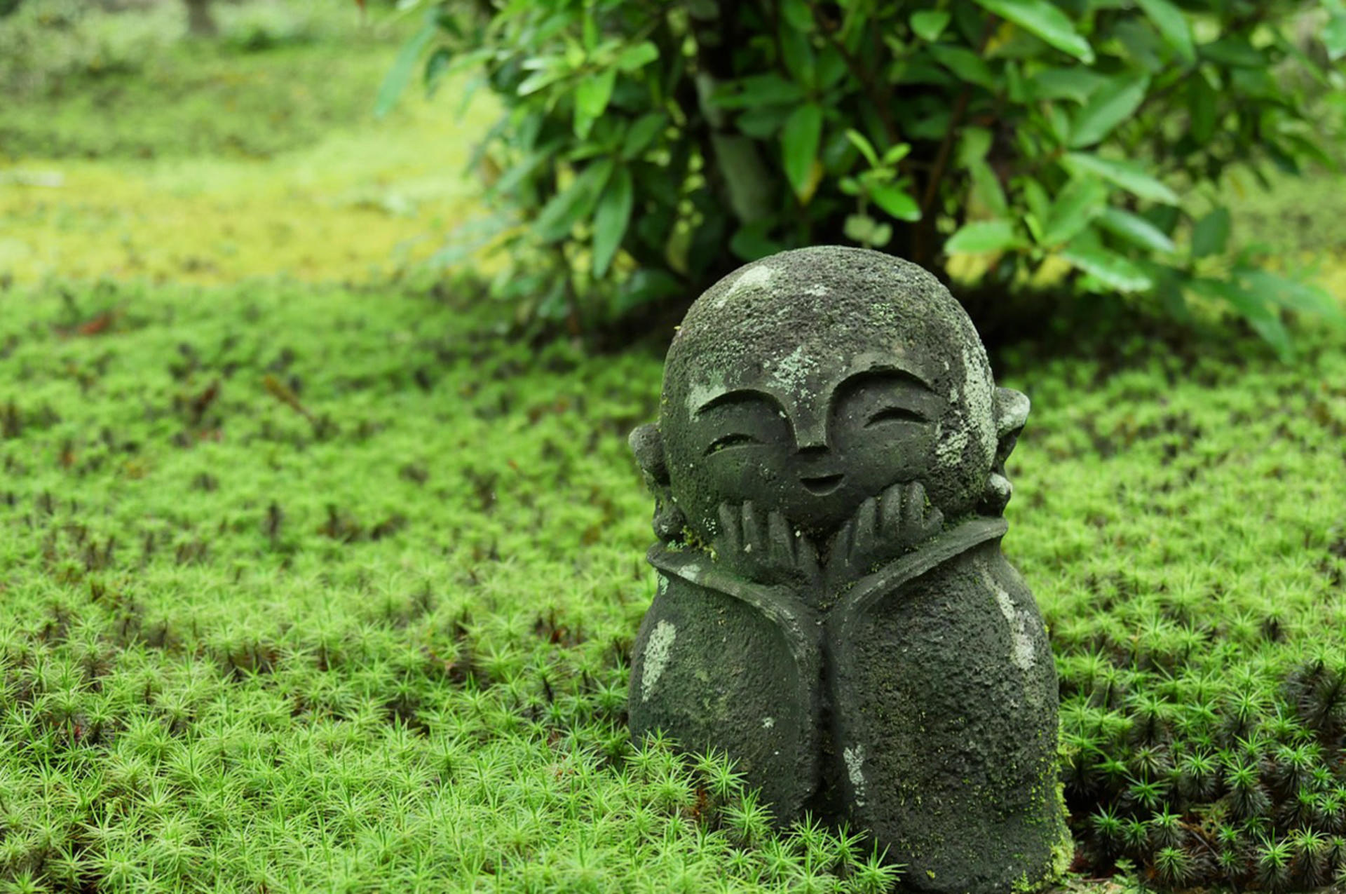 Kyoto Sanzen-in, Kifune Shrine, and Arashiyama Small Group Day Tour (Driver-Guide Service) - Thumbnail 13