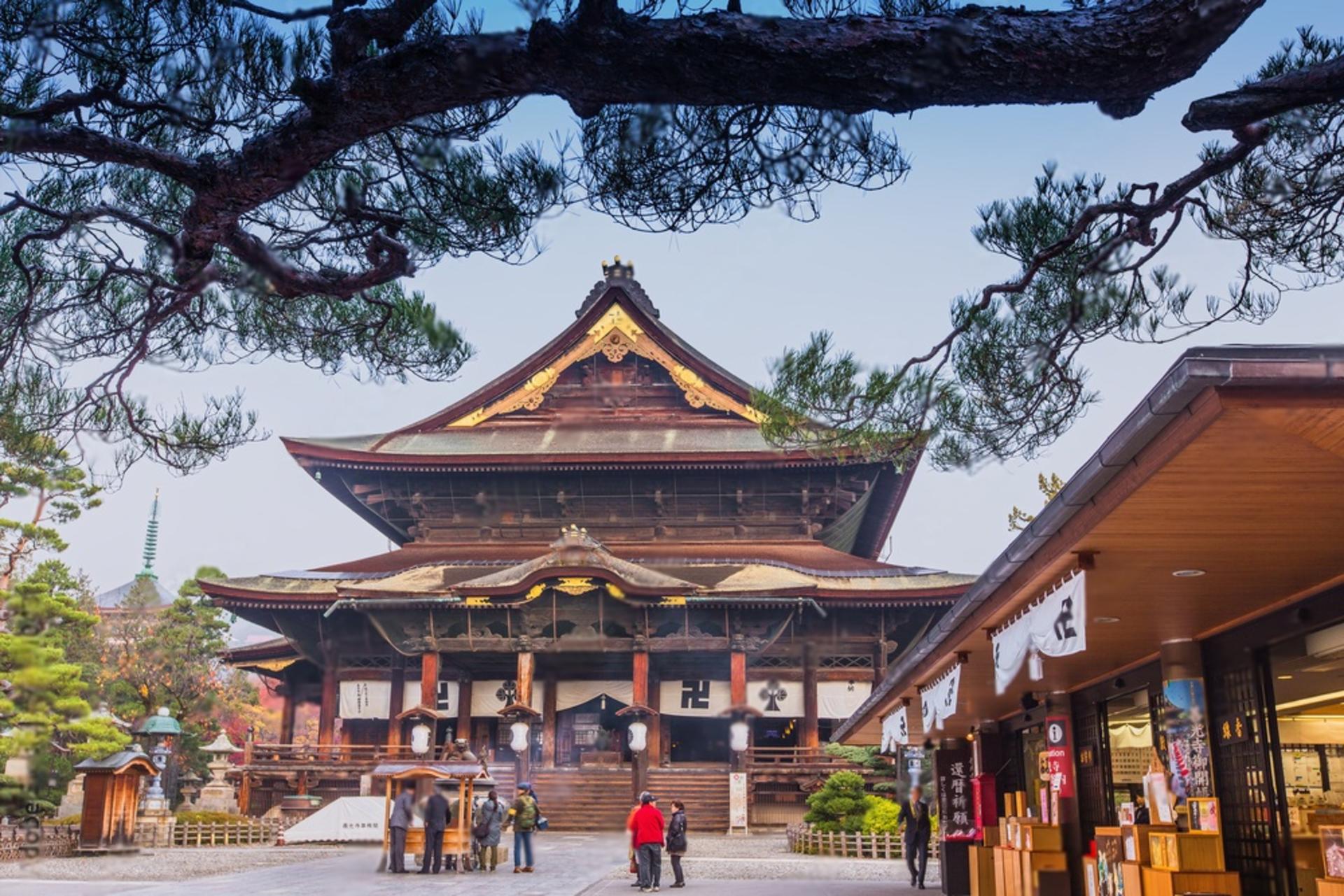 10 Day Japan Private Tour Unveiling Maximum Attractions - Thumbnail 10