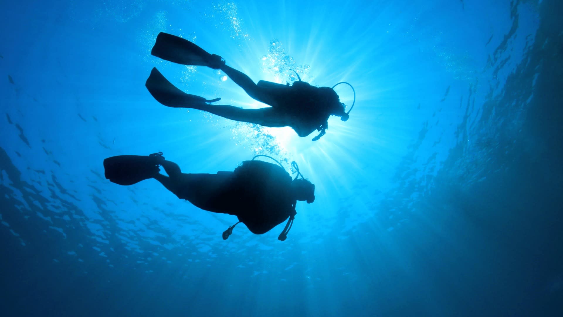 Kusadasi: Scuba Diving for Beginners w/Lunch & Transfer - Image 1