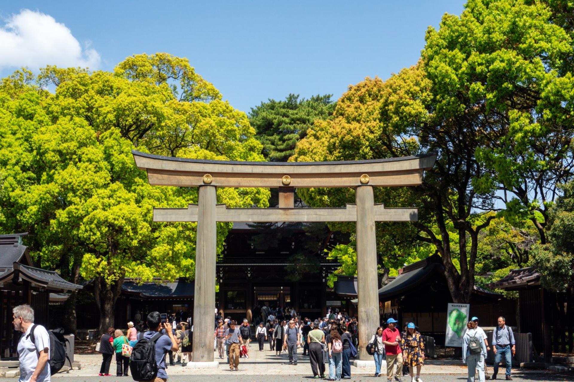 Tokyo: Meiji Shrine & Shinto Culture Walking Tour - Thumbnail 2