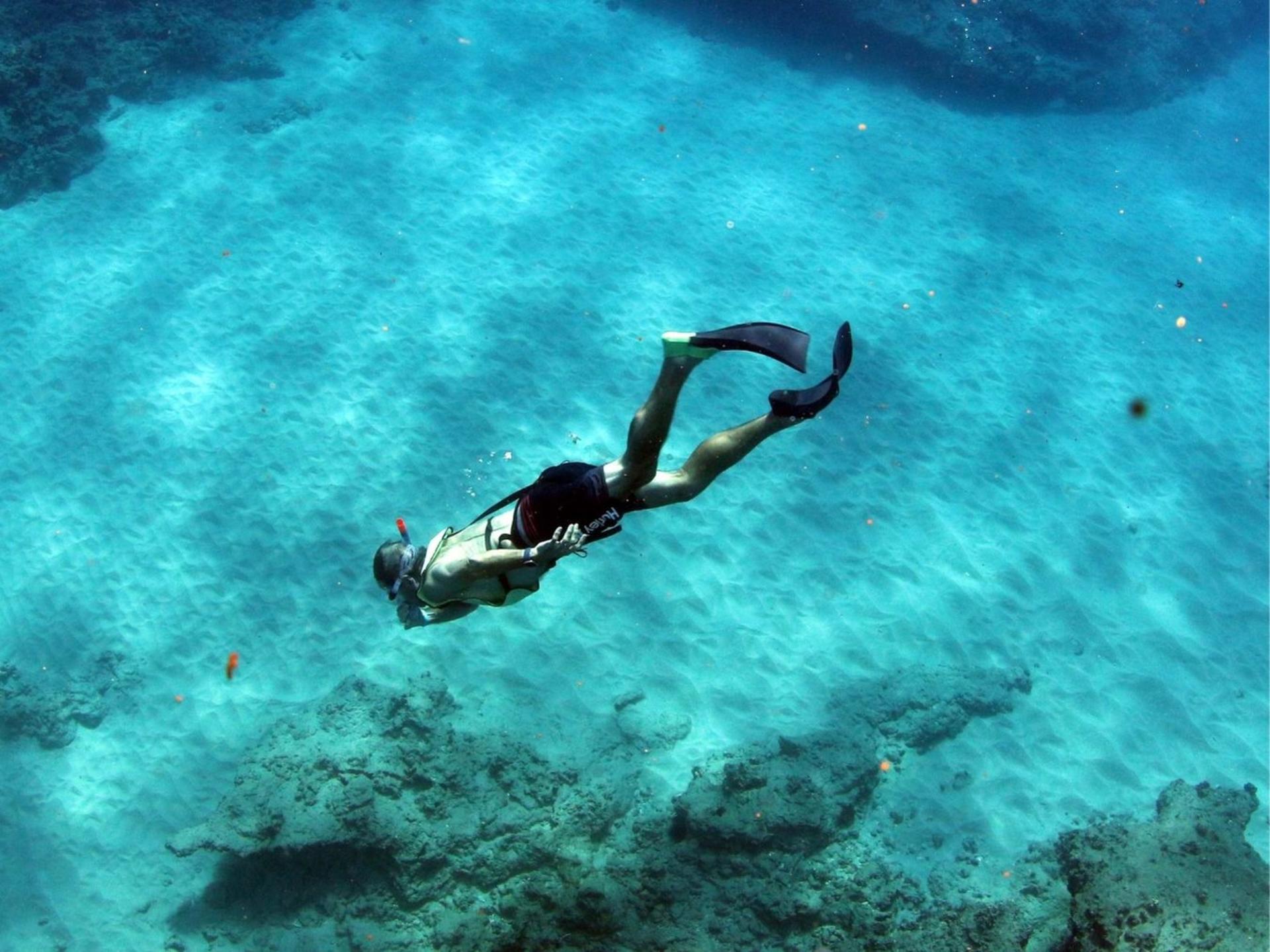 Luxury Afternoon Snorkeling Cruise and Dolphin Watch from Ko Olina - Thumbnail 26