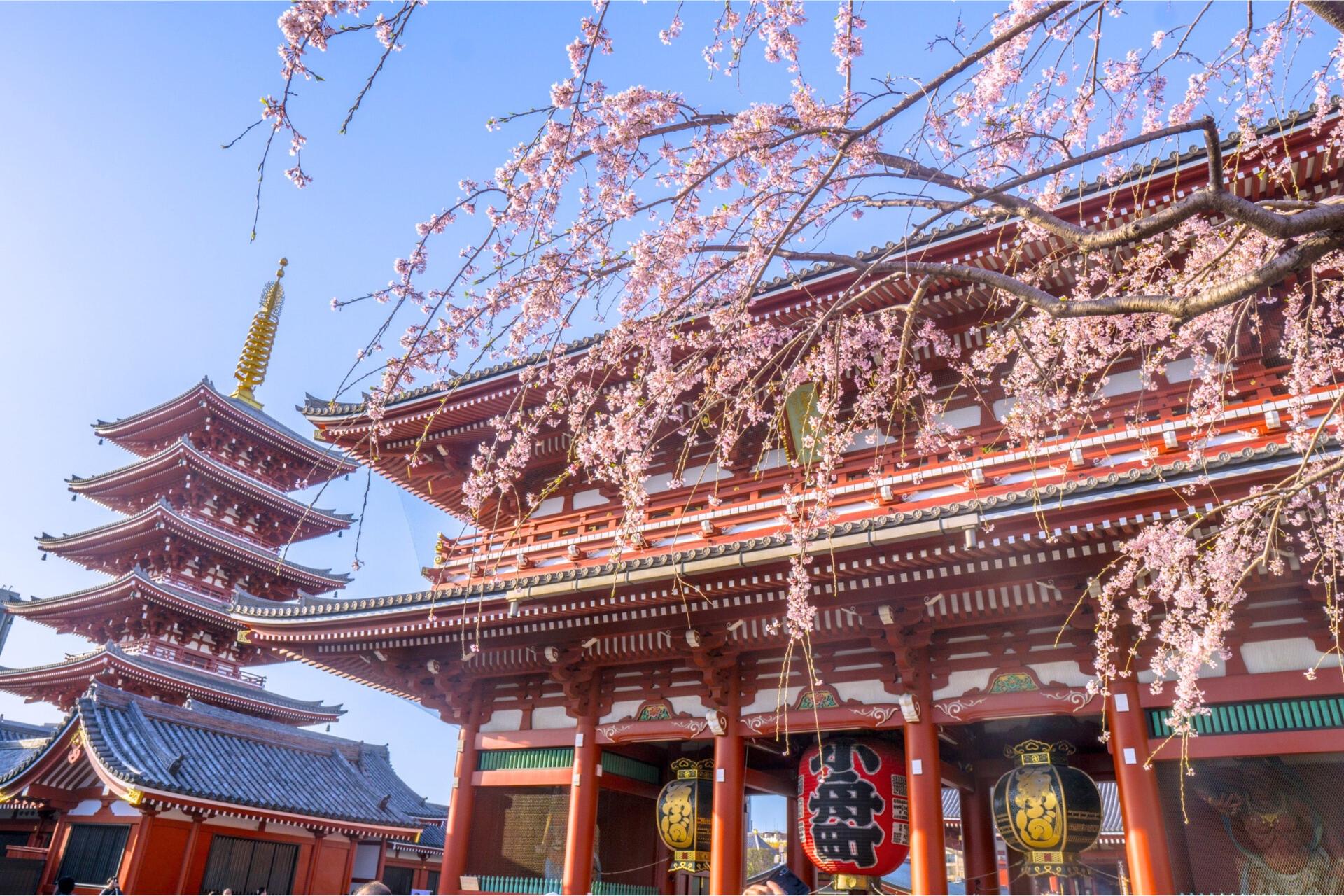 Tokyo, Asakusa Sensoji, Imado Shrine Goshuin Walking Tour - Thumbnail 19